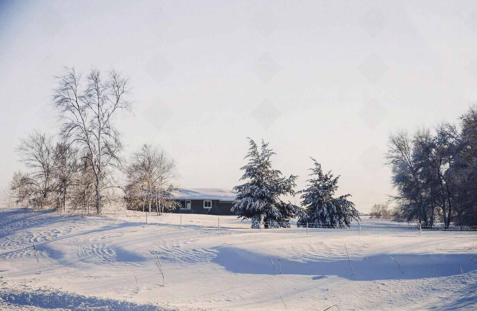 现代雪景贴图下载【ID:1195233998】