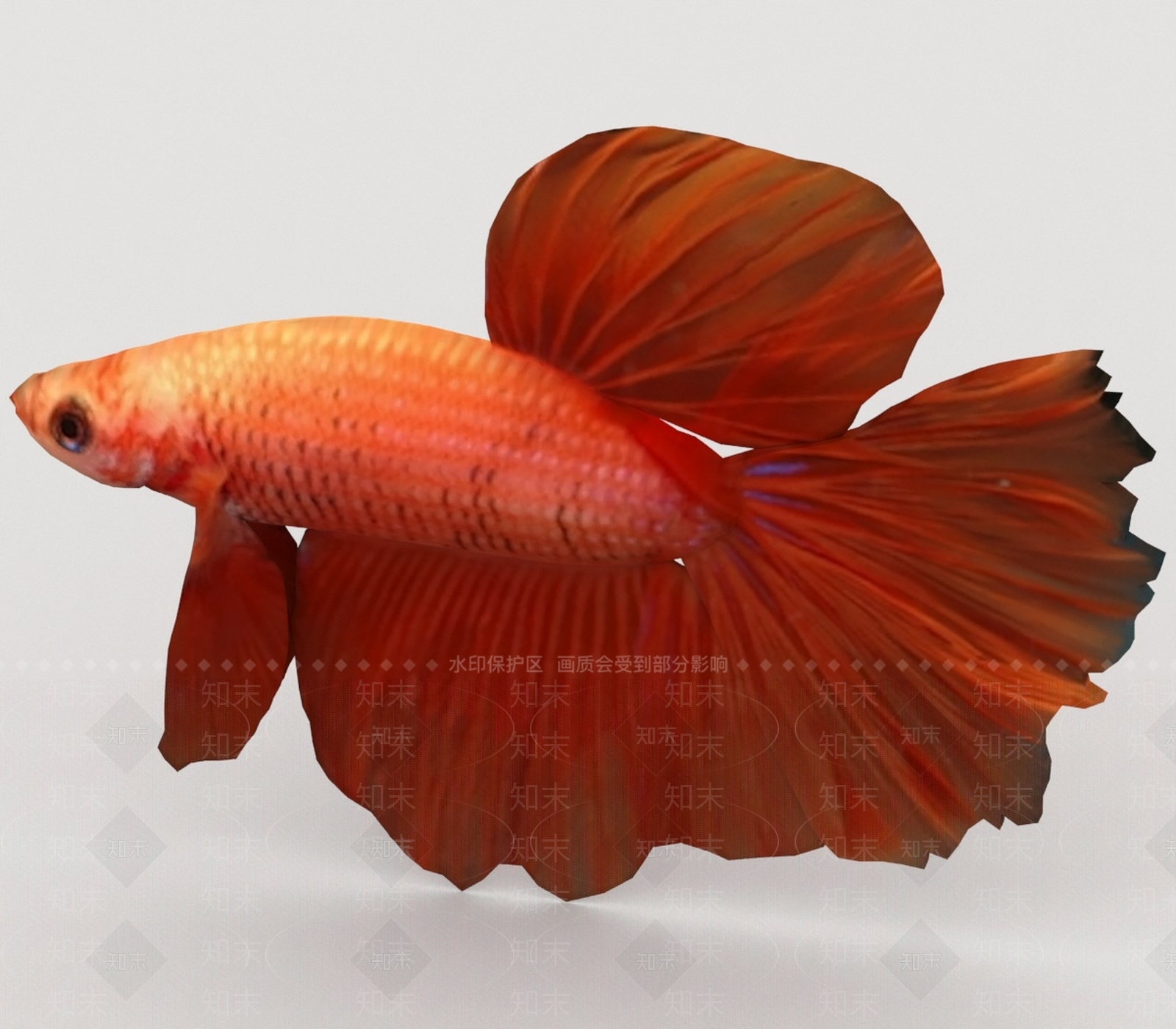 水生类动物3D模型下载【ID:1195252227】