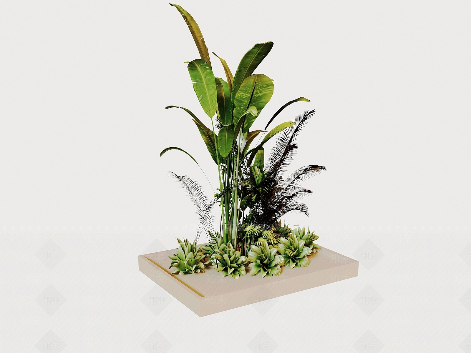 其他绿植3D模型下载【ID:1195266896】