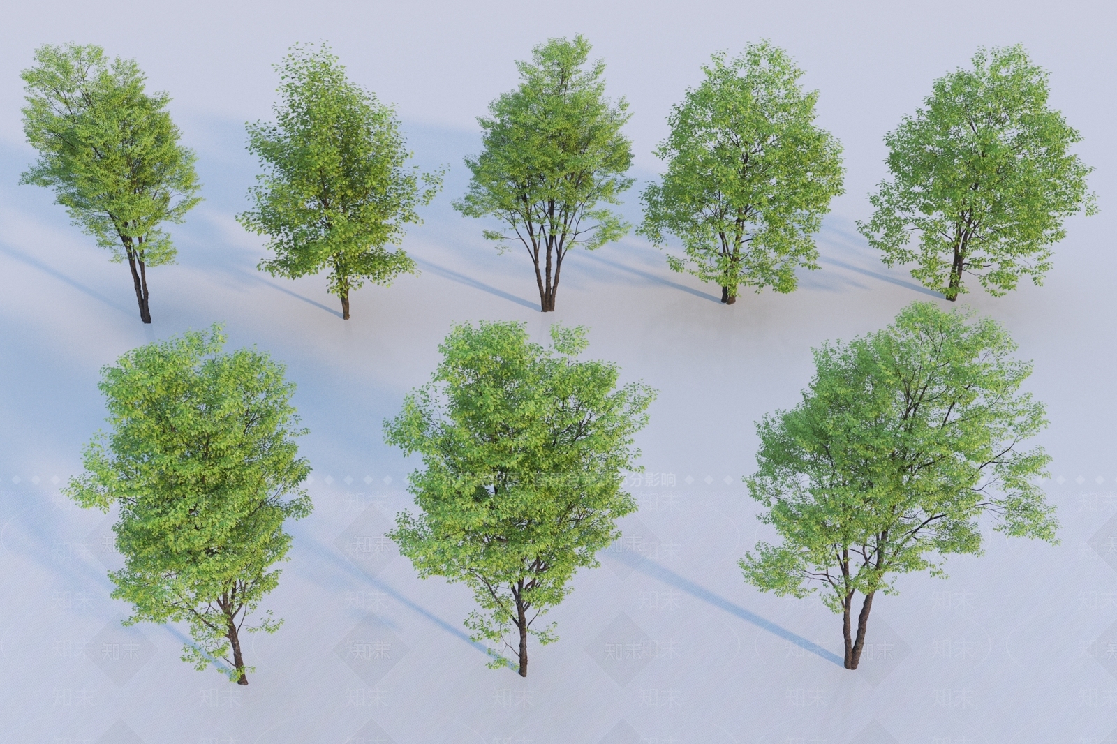 景观树3D模型下载【ID:1195298572】