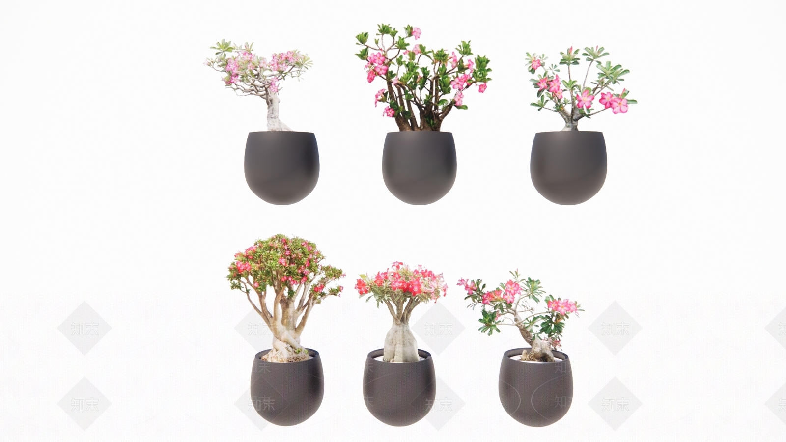 植物组合SU模型下载【ID:1195402227】