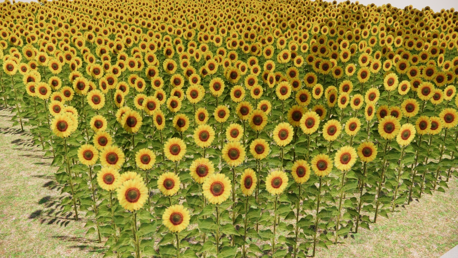 花草SU模型下载【ID:1195403477】