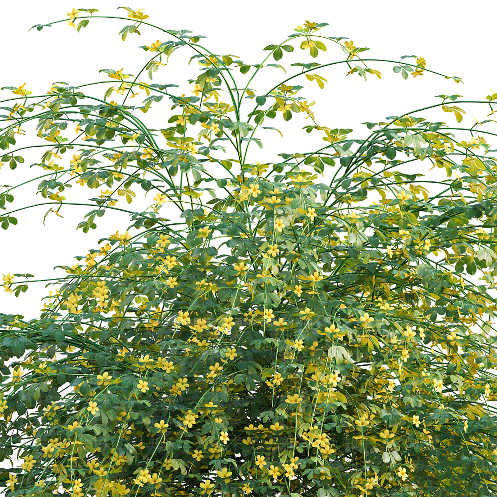 花3D模型下载【ID:1195446337】