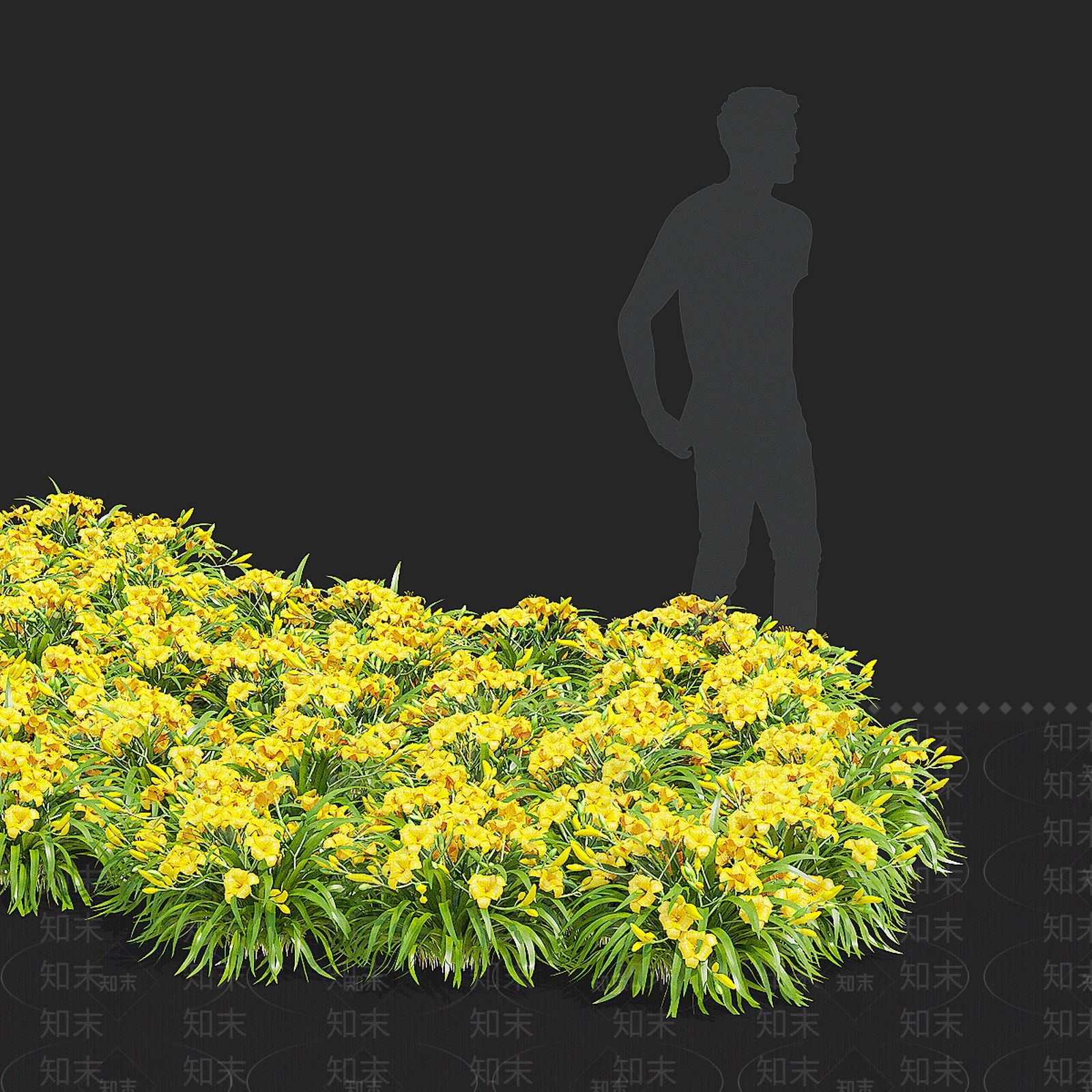 花草组合3D模型下载【ID:1195446584】