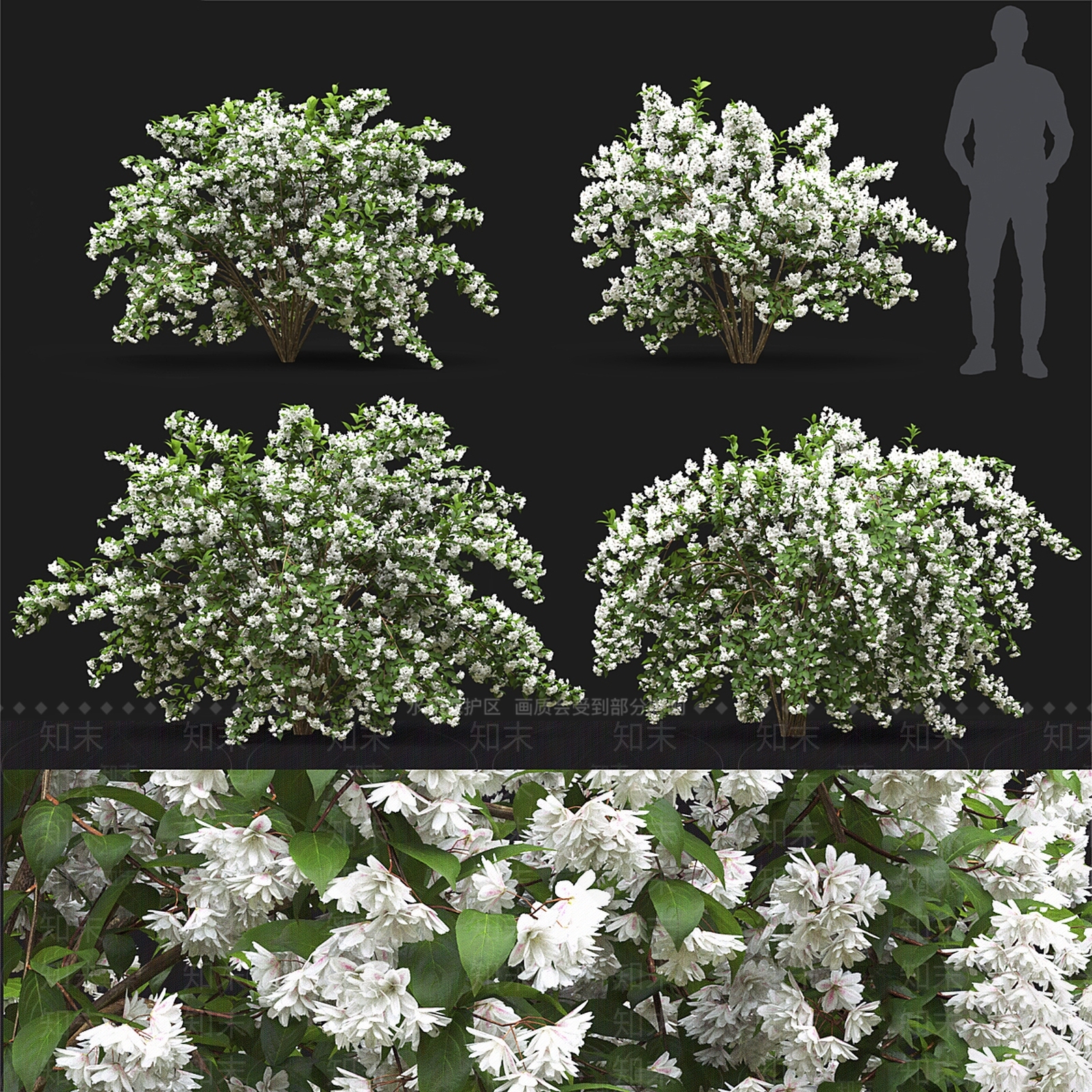 灌木3D模型下载【ID:1195447373】
