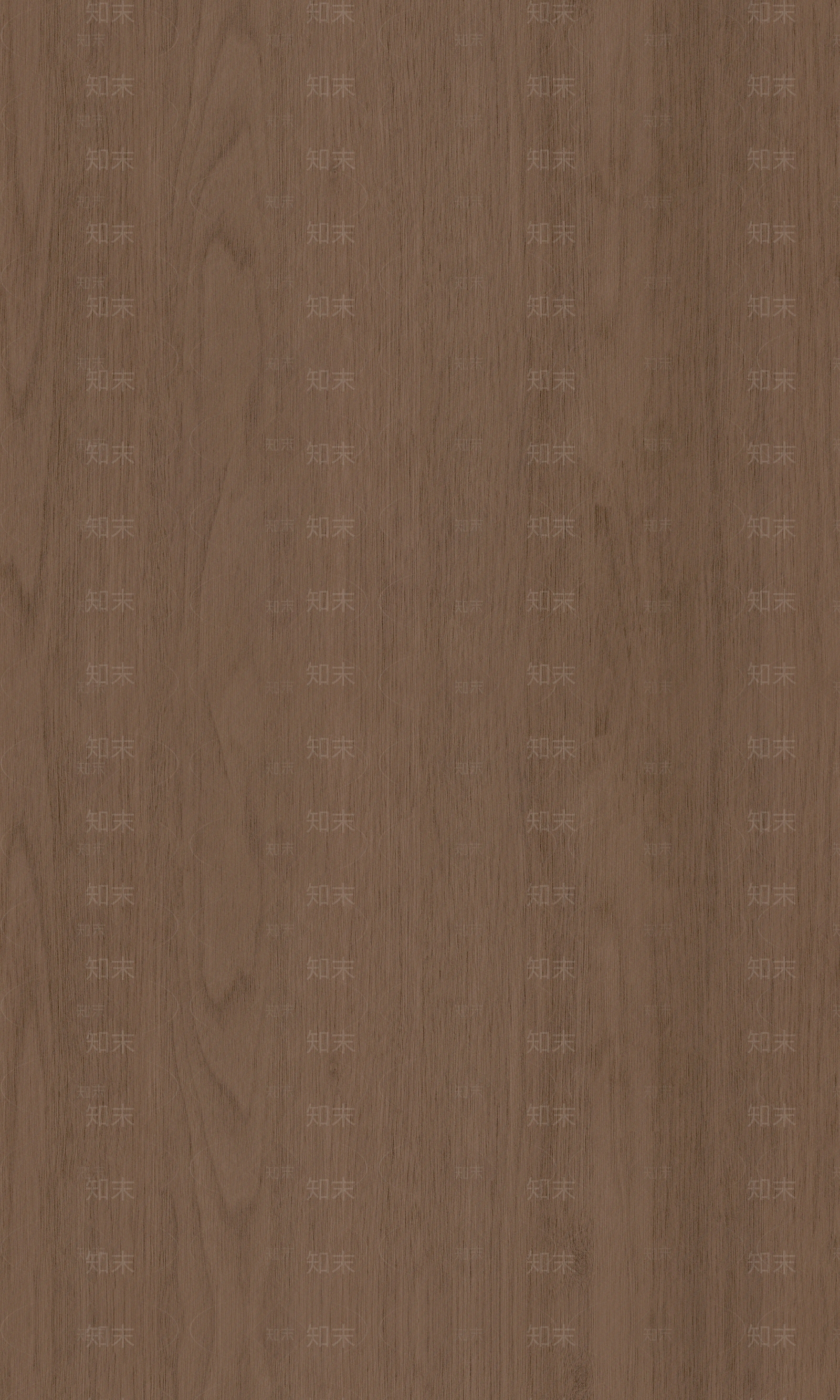 现代中古胡桃木贴图下载【ID:1195455168】