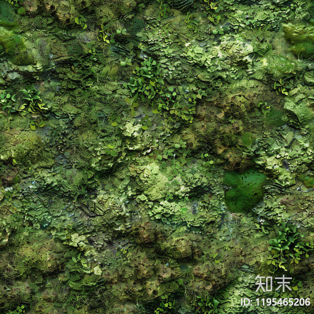 现代自然地面贴图下载【ID:1195465206】
