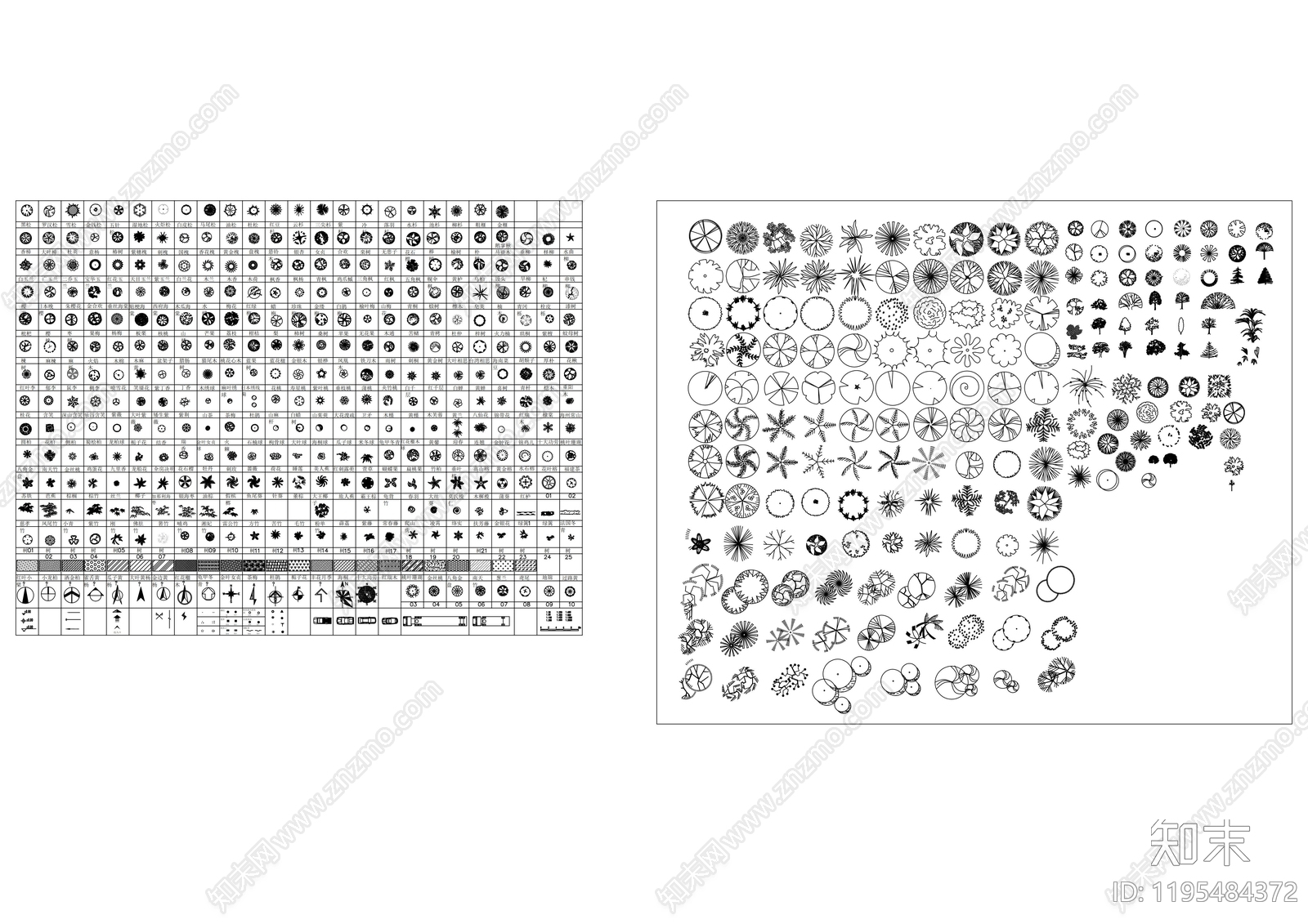 综合植物图库施工图下载【ID:1195484372】