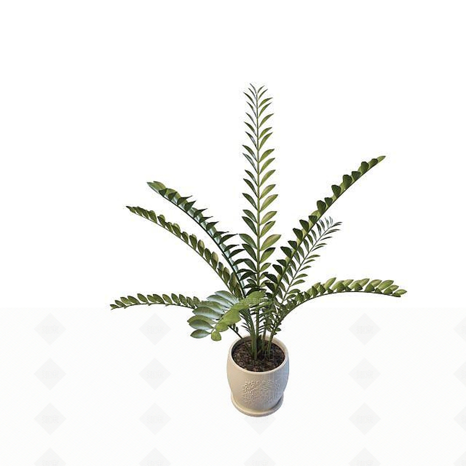 现代金钱树3D模型下载【ID:1195486606】