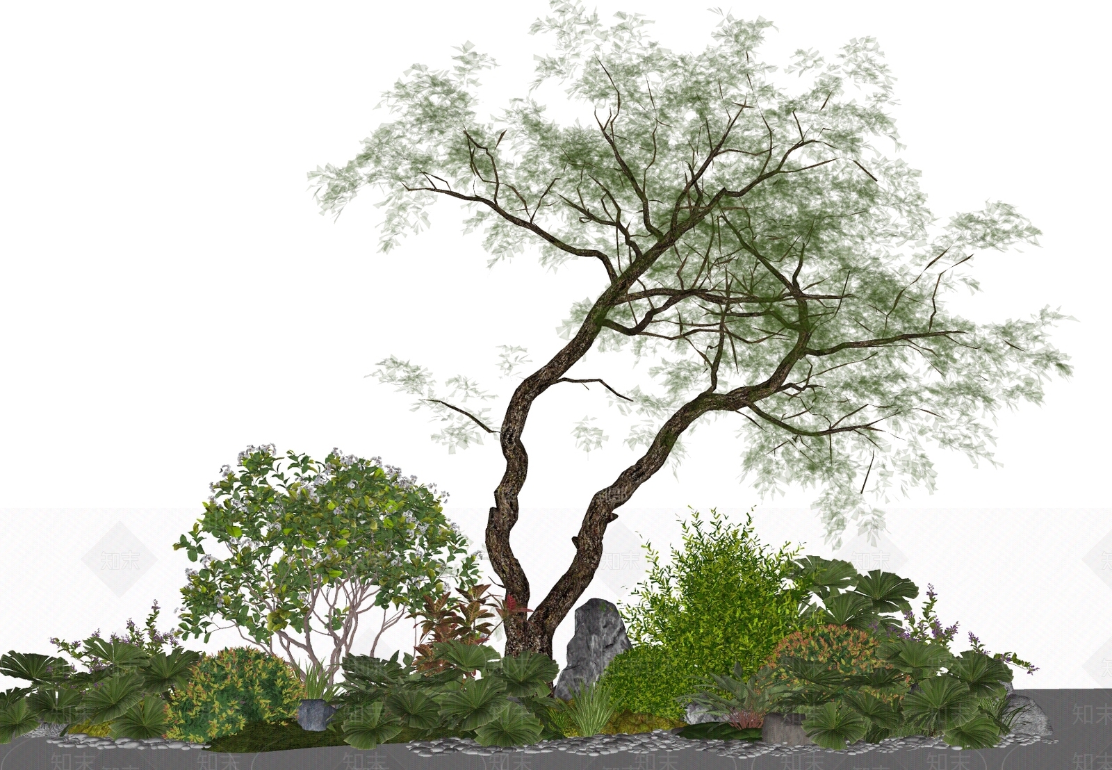 花草SU模型下载【ID:1195491521】