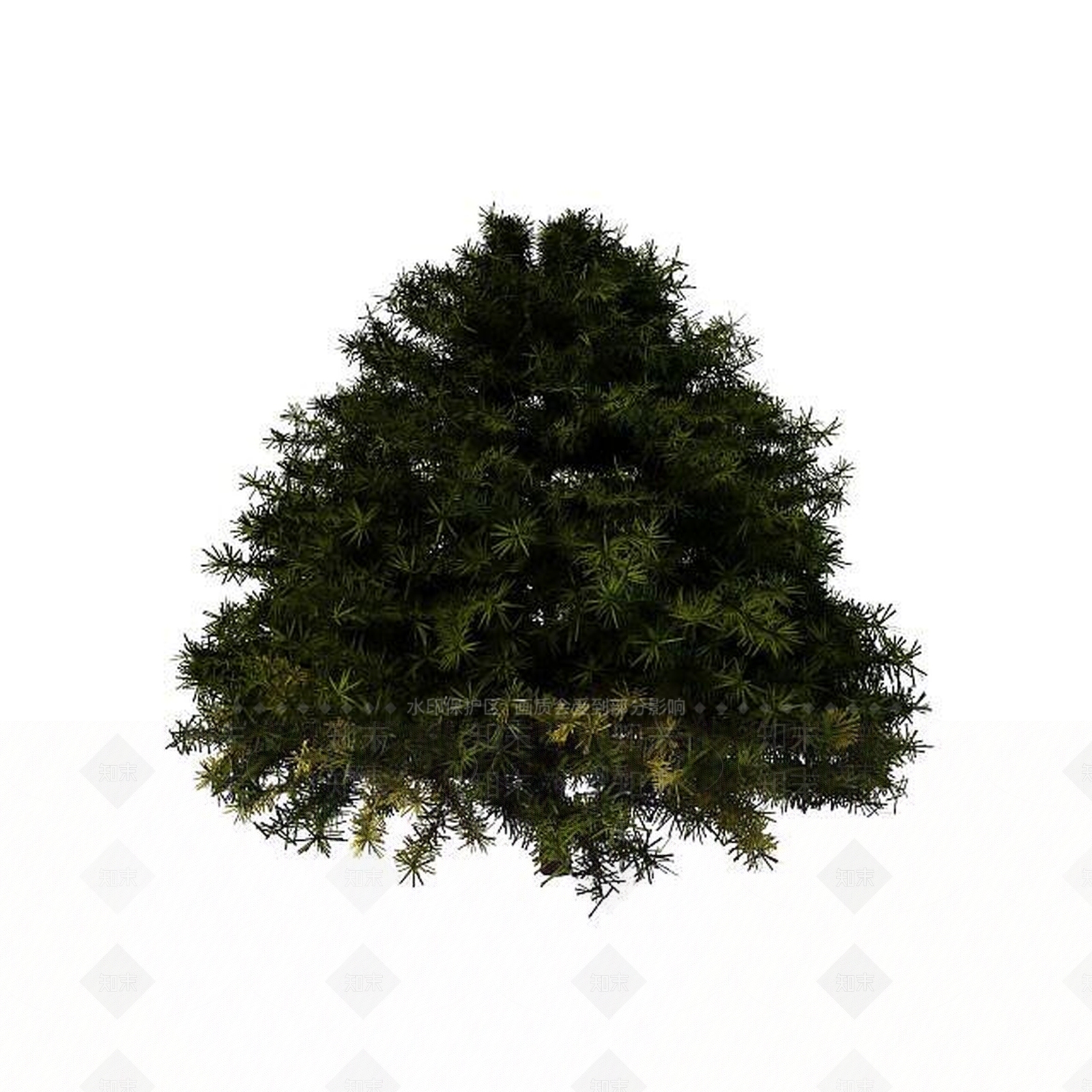 现代松树3D模型下载【ID:1195520279】