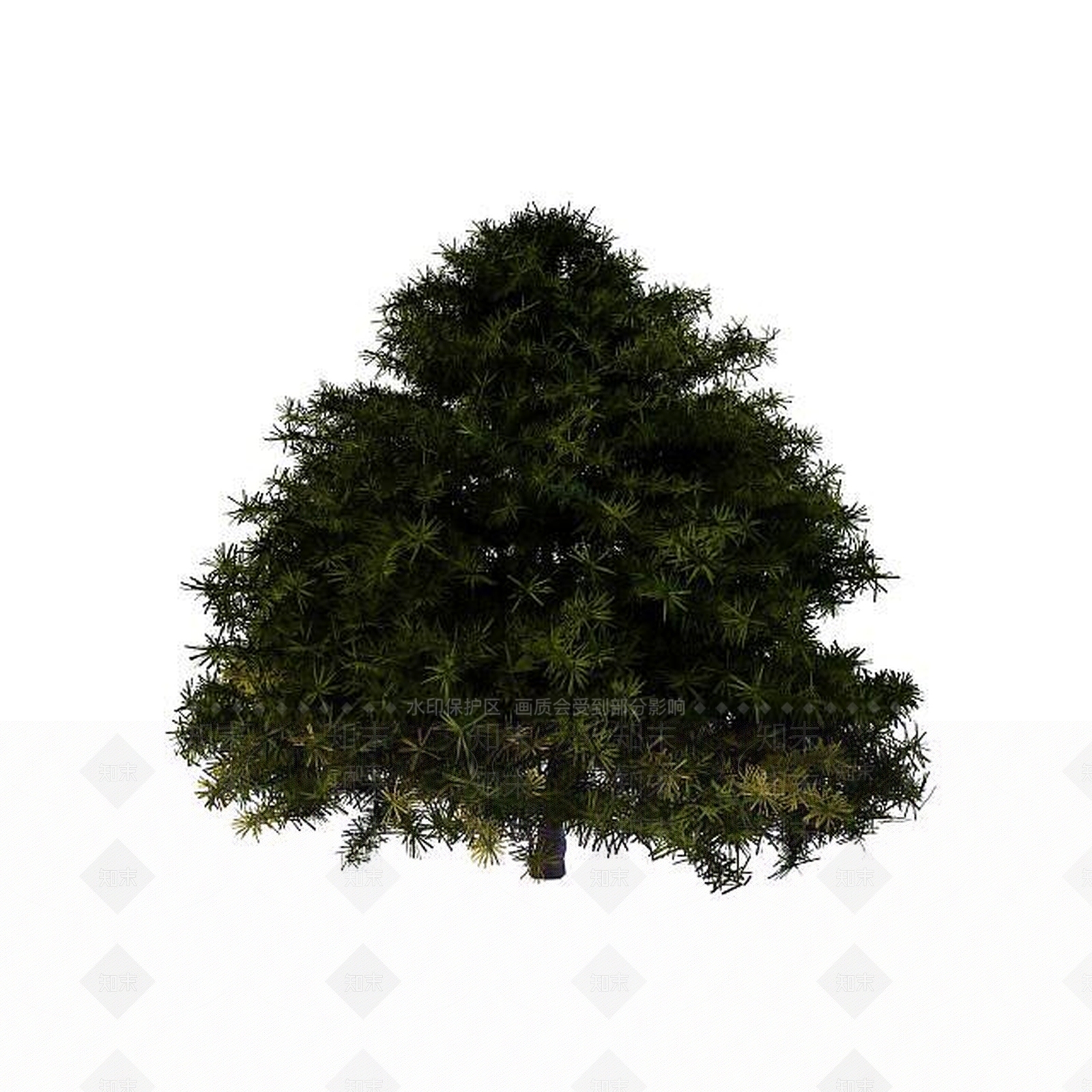现代松树3D模型下载【ID:1195520279】