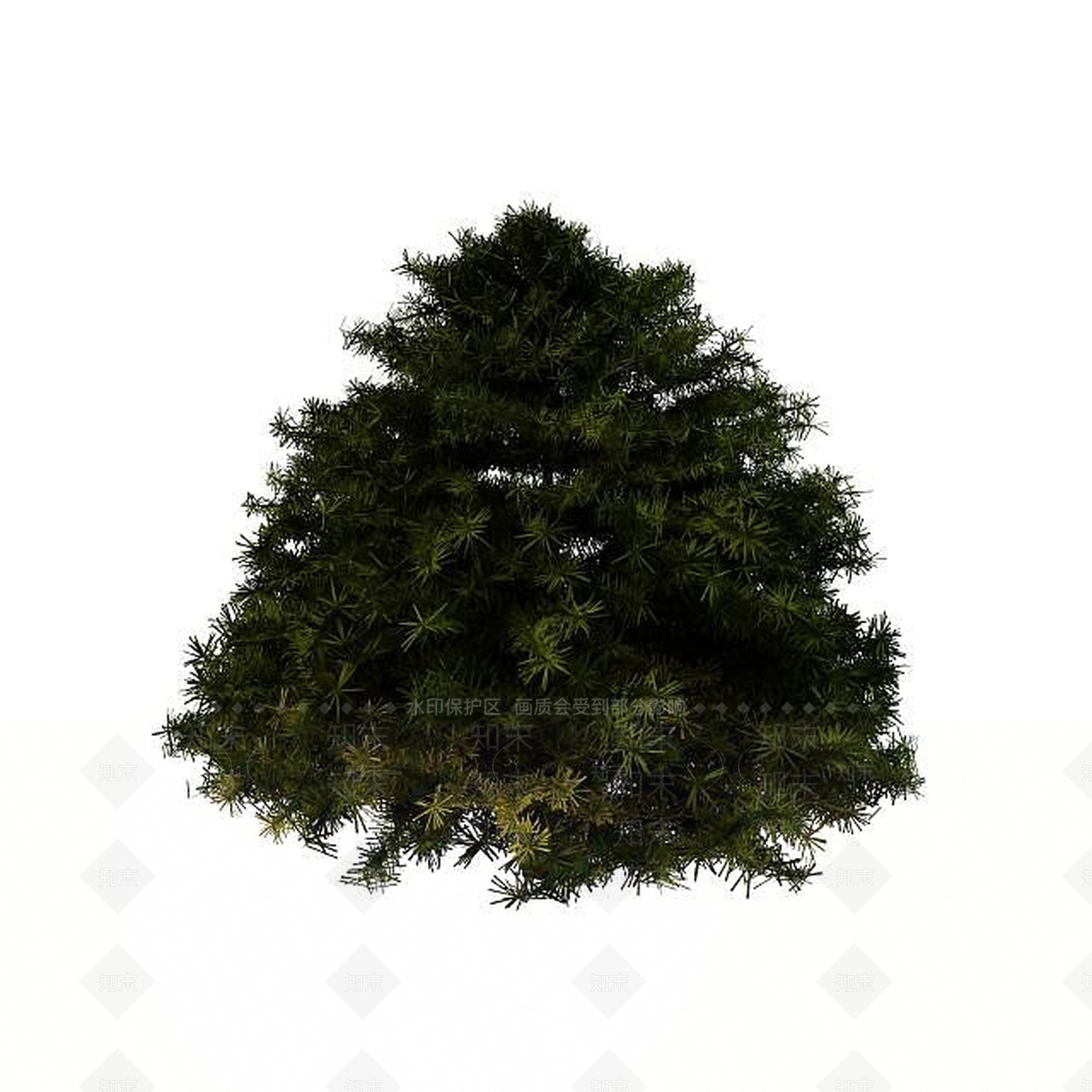 现代松树3D模型下载【ID:1195520279】
