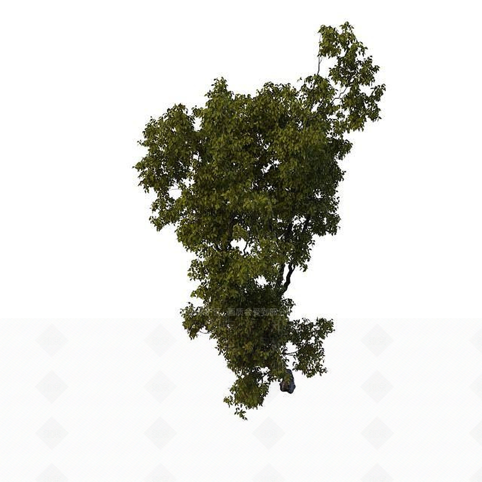 现代园林景观树3D模型下载【ID:1195523233】