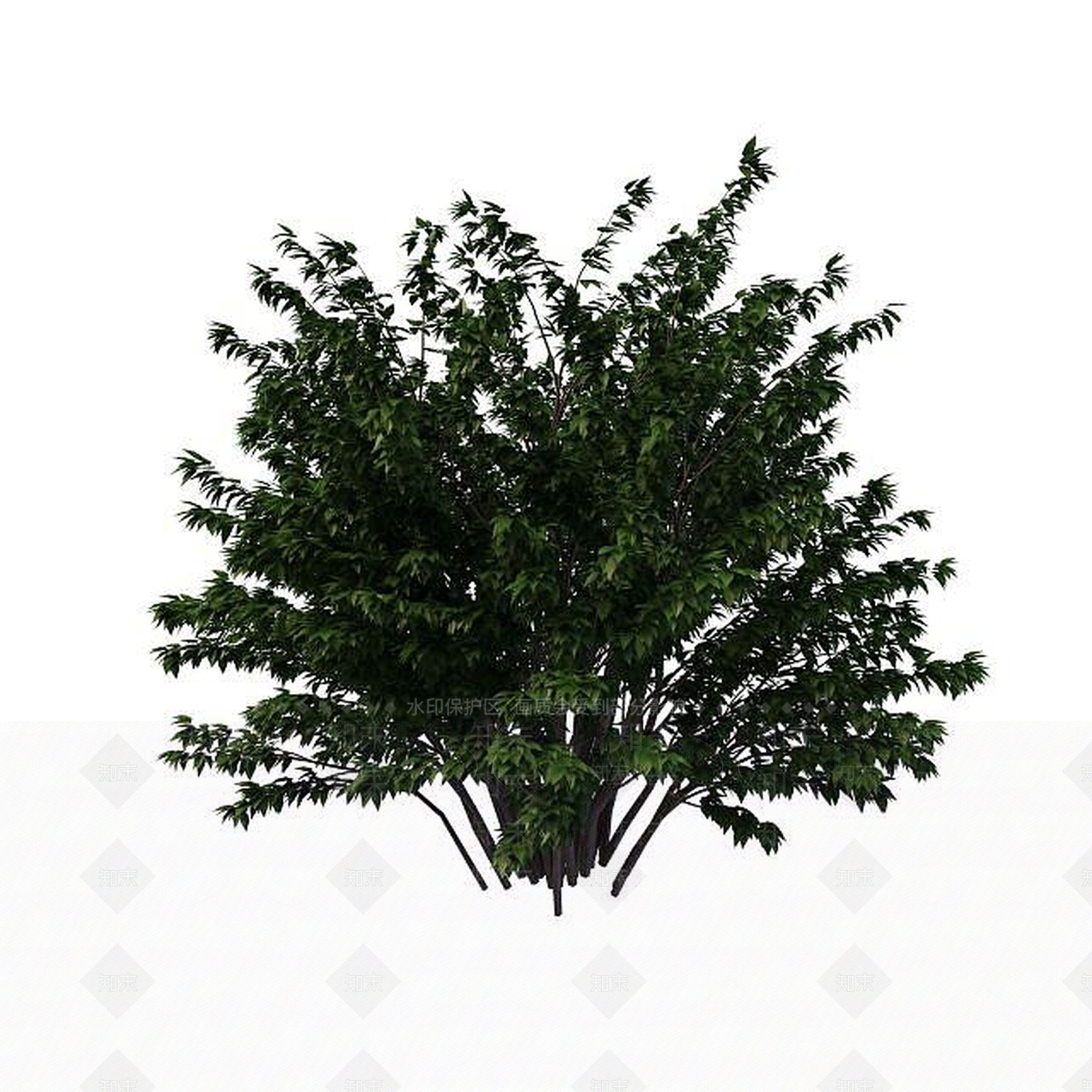 现代公园绿化树3D模型下载【ID:1195527723】