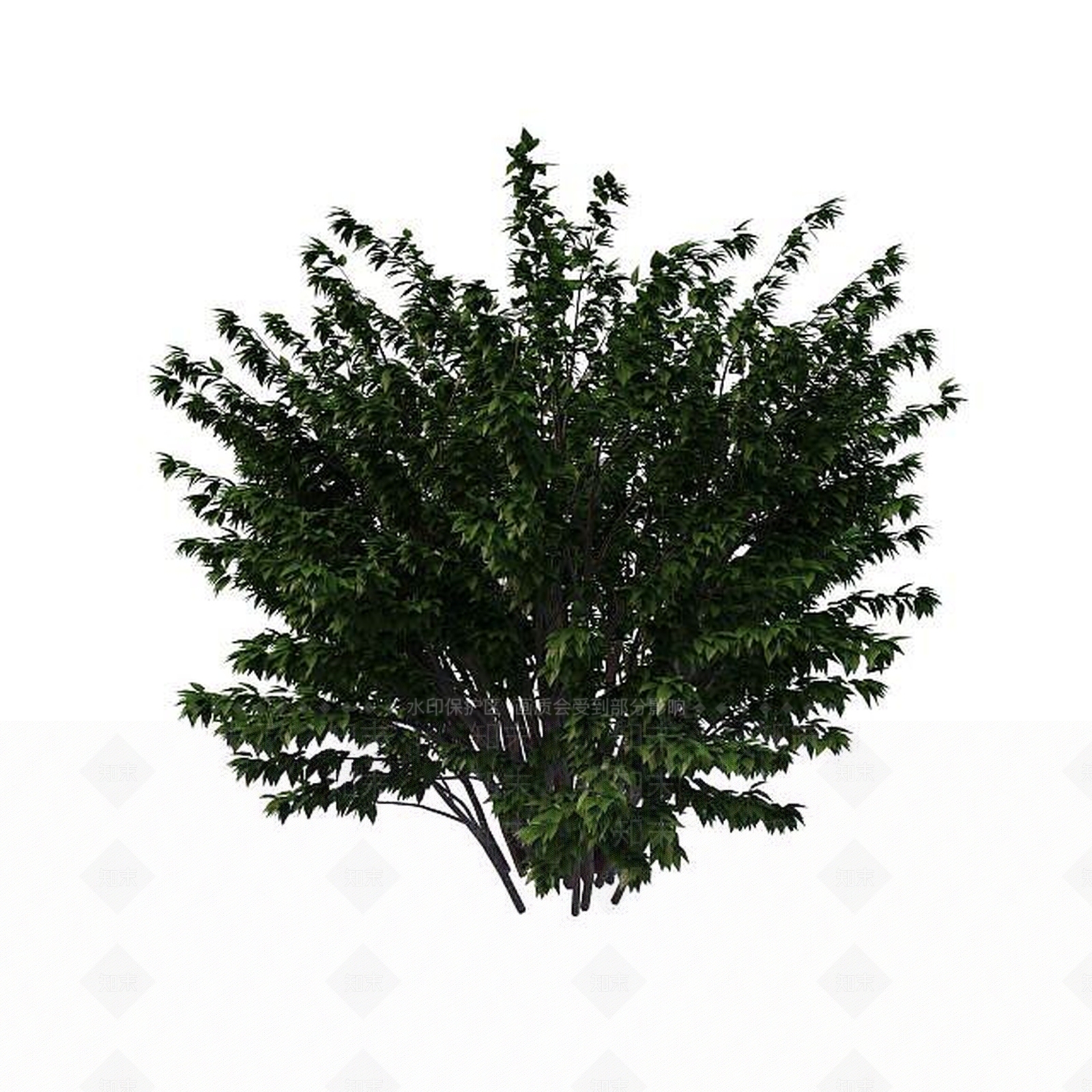 现代公园绿化树3D模型下载【ID:1195527723】