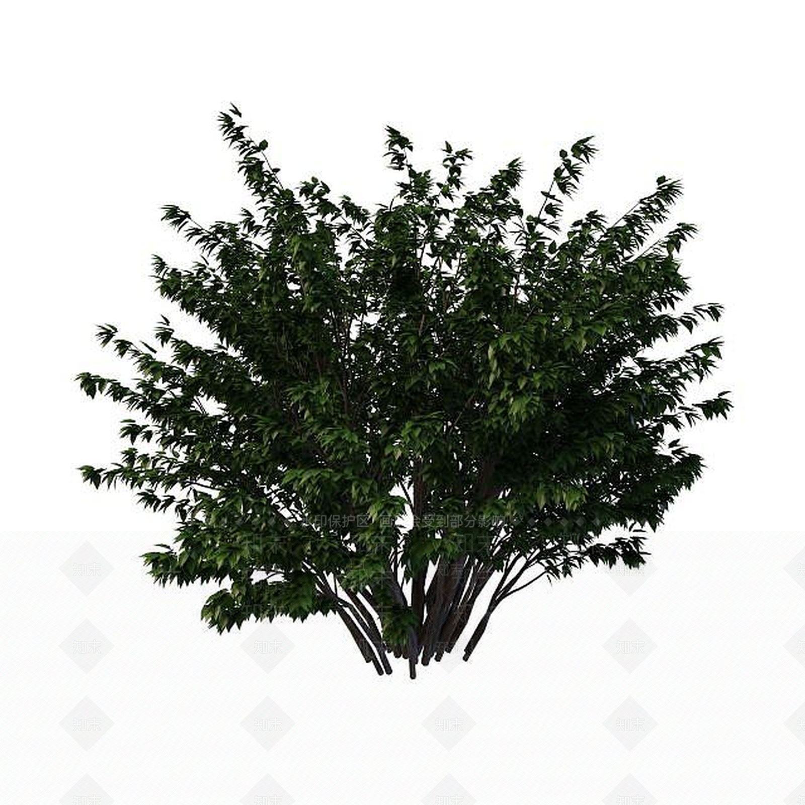 现代公园绿化树3D模型下载【ID:1195527723】