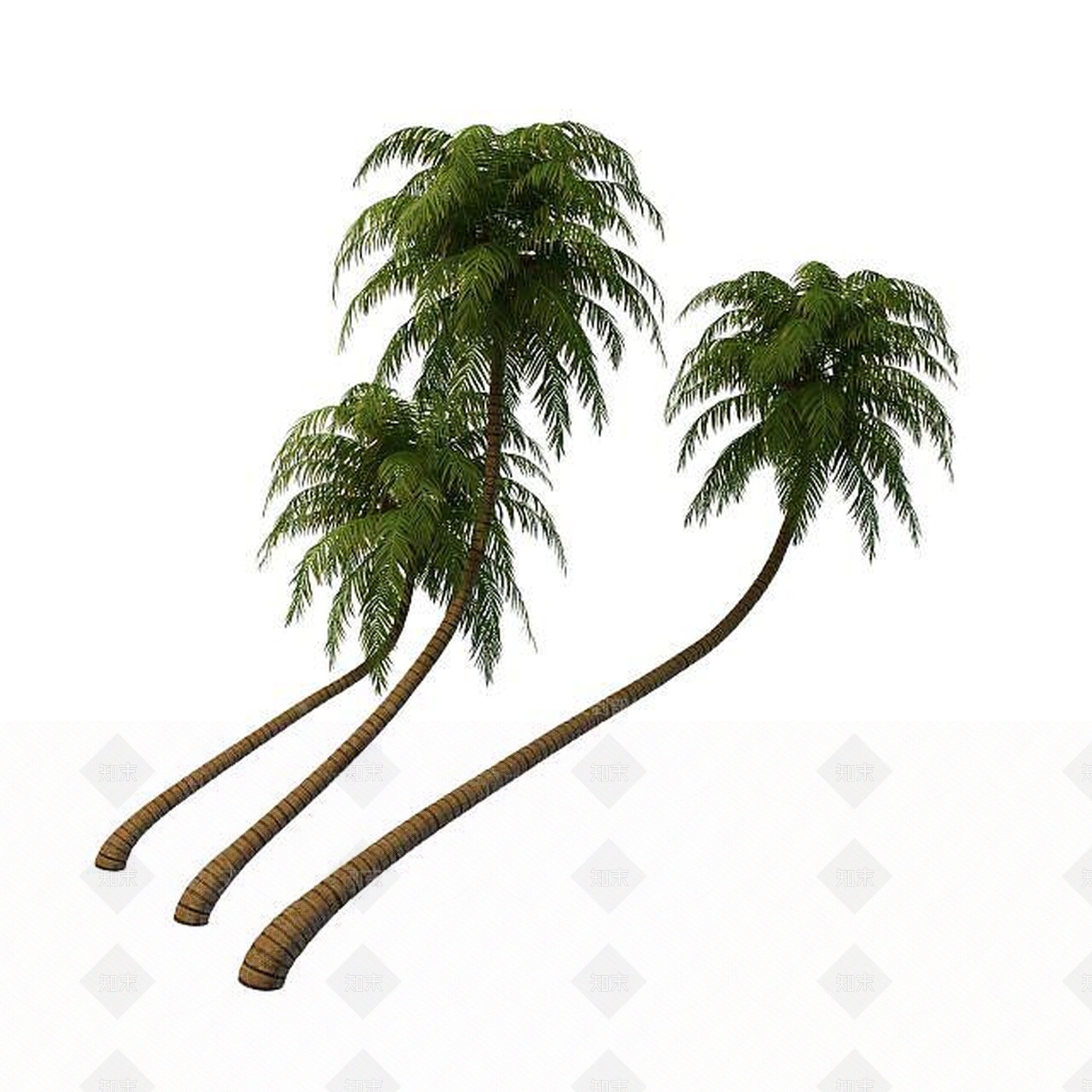 现代椰子树3D模型下载【ID:1195528086】