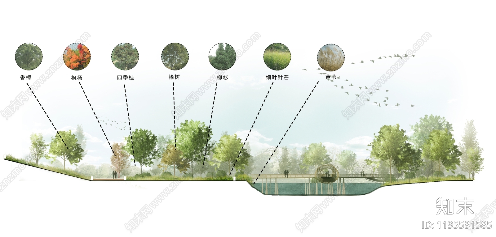 植物分析图设计素材精品下载_知末网