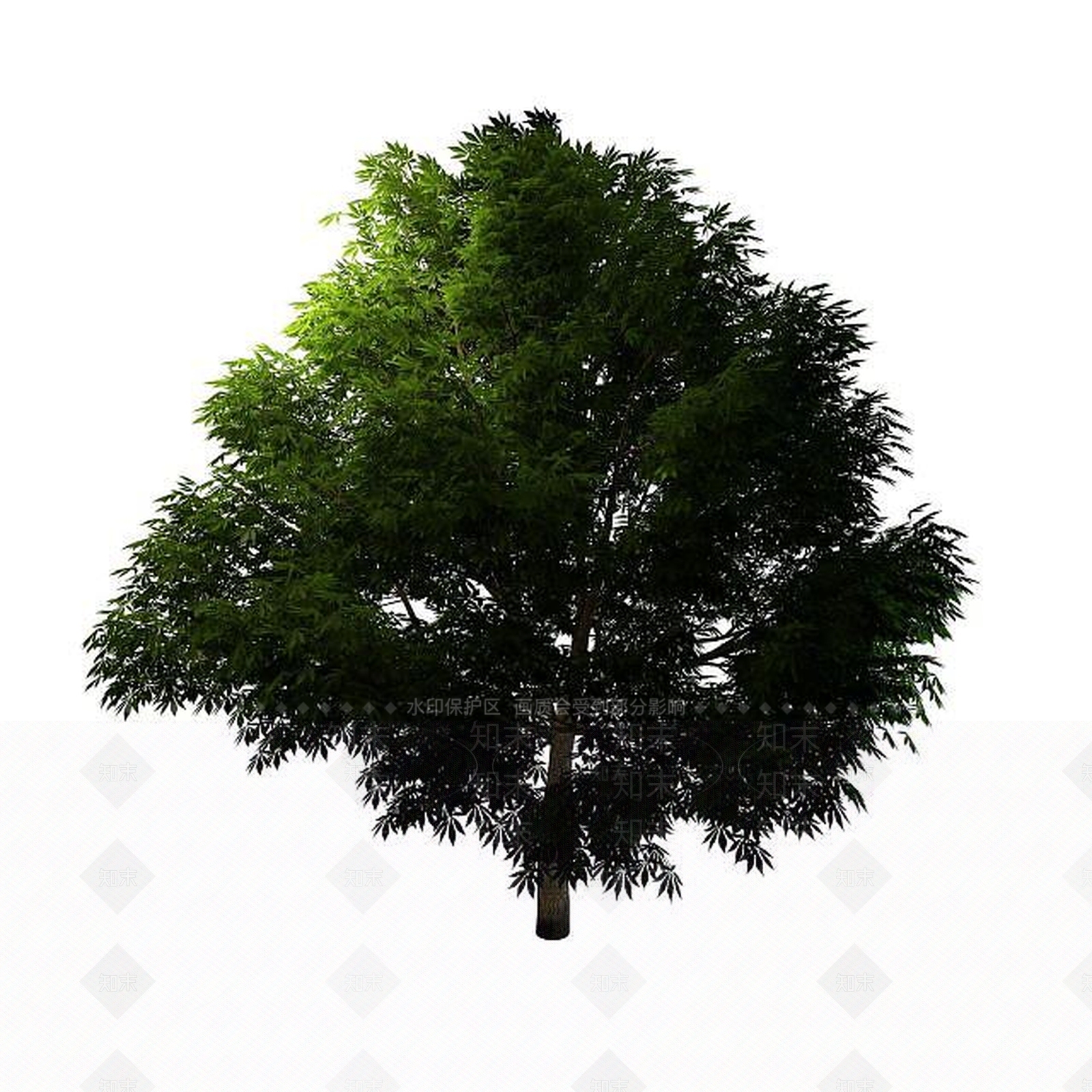现代景观树3D模型下载【ID:1195531972】