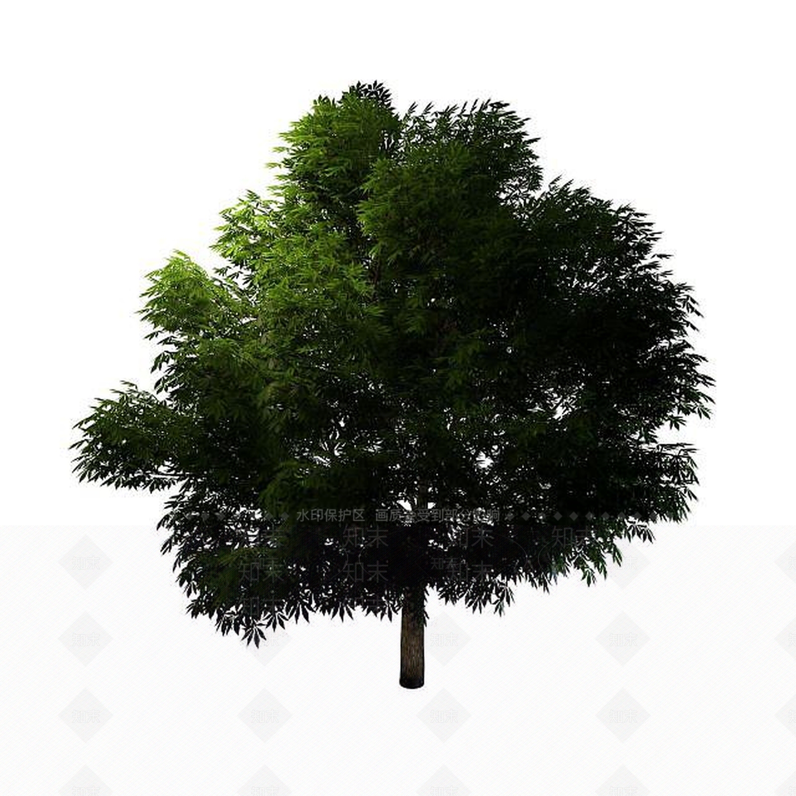 现代景观树3D模型下载【ID:1195531972】