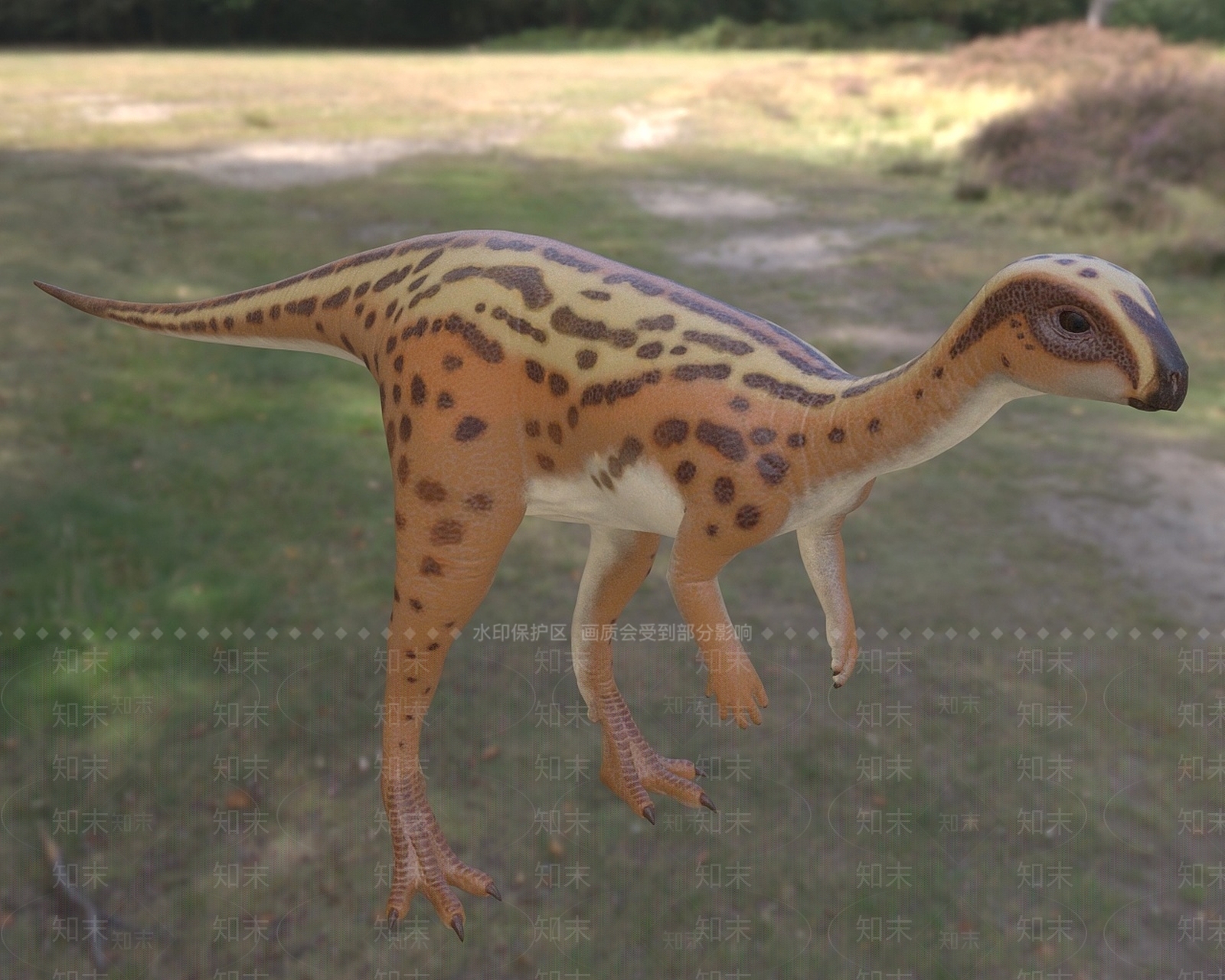 现代侏罗纪晚期食草性恐龙3D模型下载【ID:1195532234】