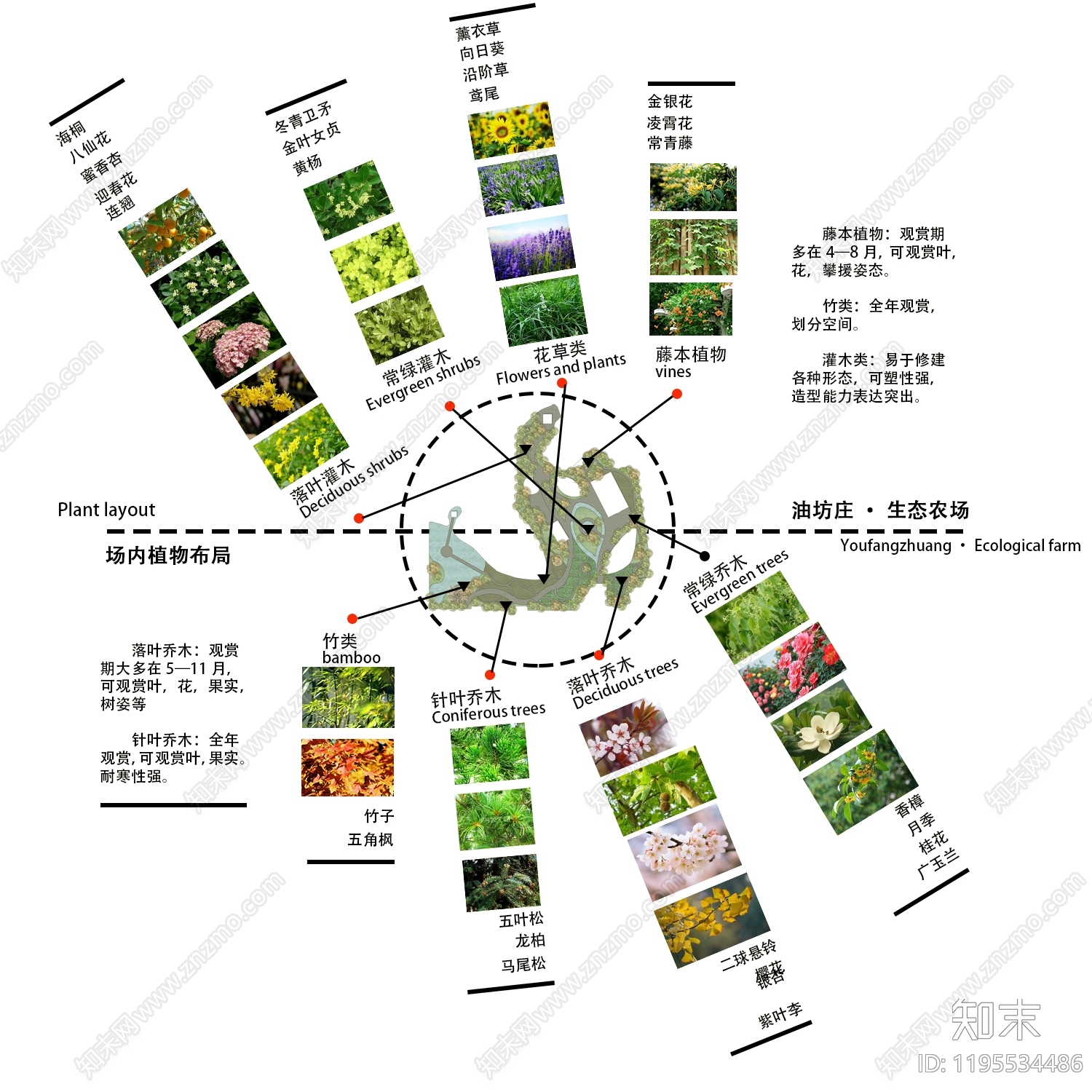 植物分析图设计素材精品下载_知末网