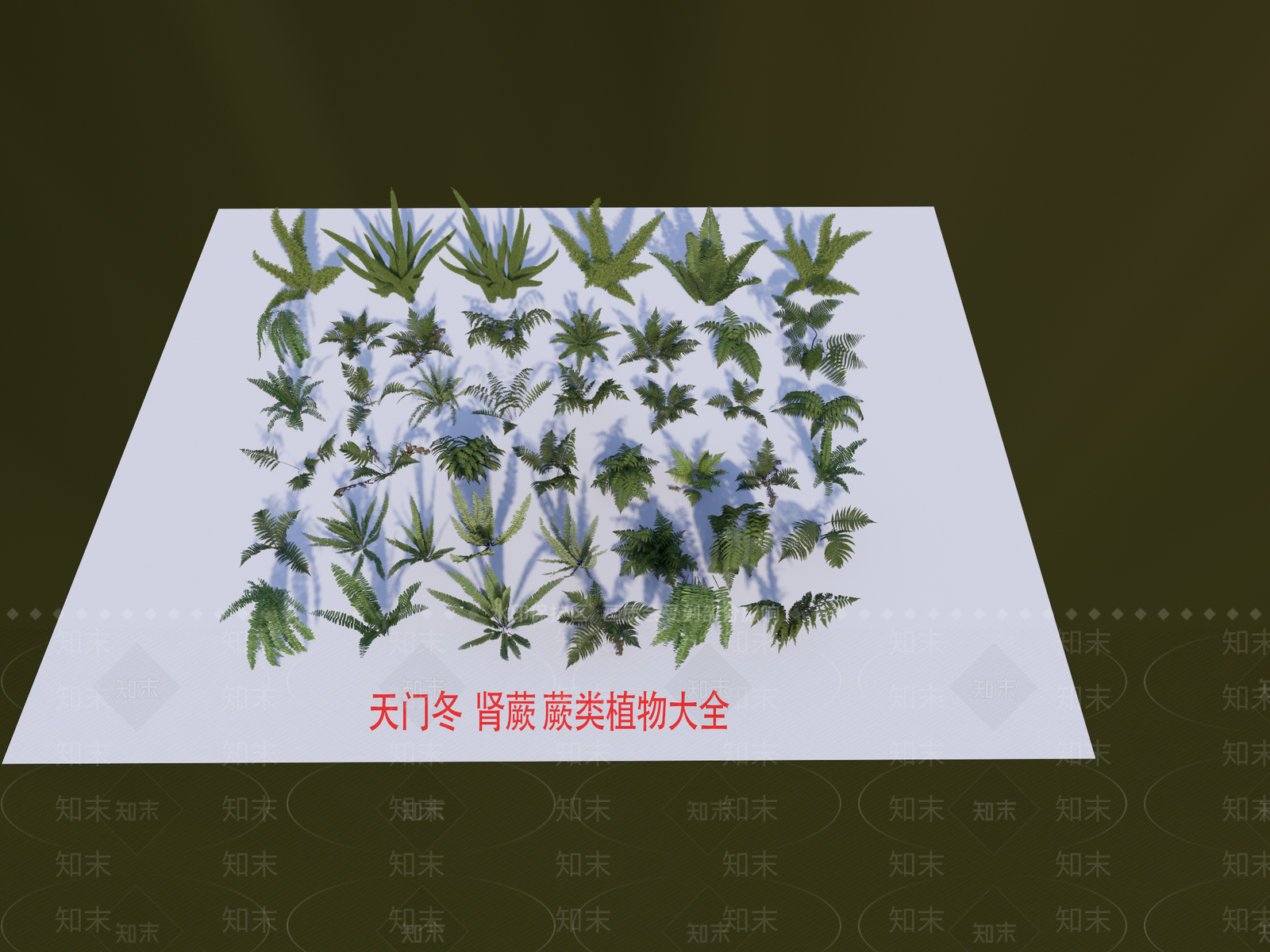 花草SU模型下载【ID:1195547719】