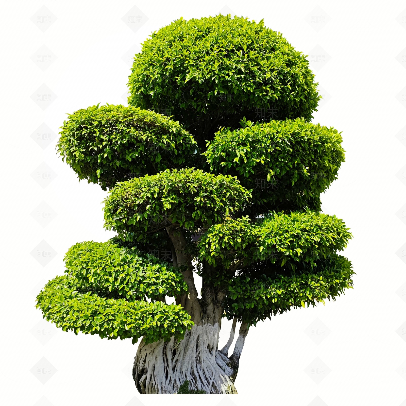 现代其他木材贴图下载【ID:1195555898】