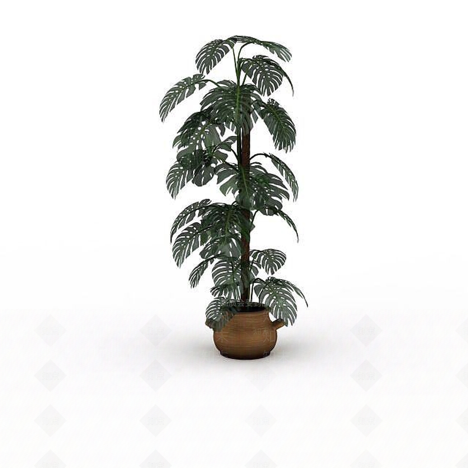 现代芭蕉盆景3D模型下载【ID:1195590203】