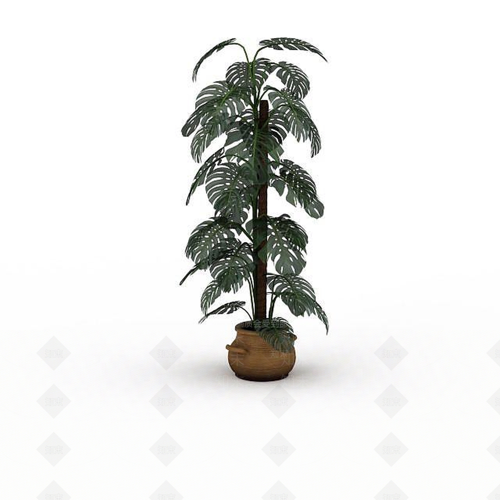 现代芭蕉盆景3D模型下载【ID:1195590203】
