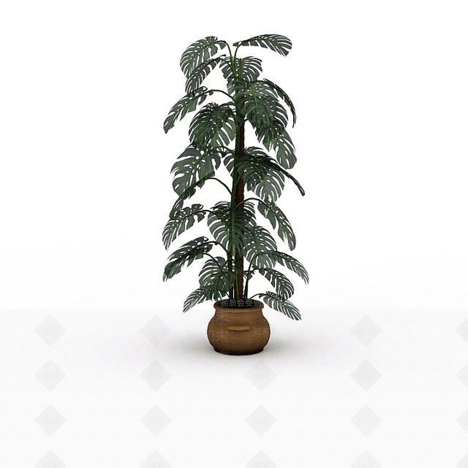 现代芭蕉盆景3D模型下载【ID:1195590203】