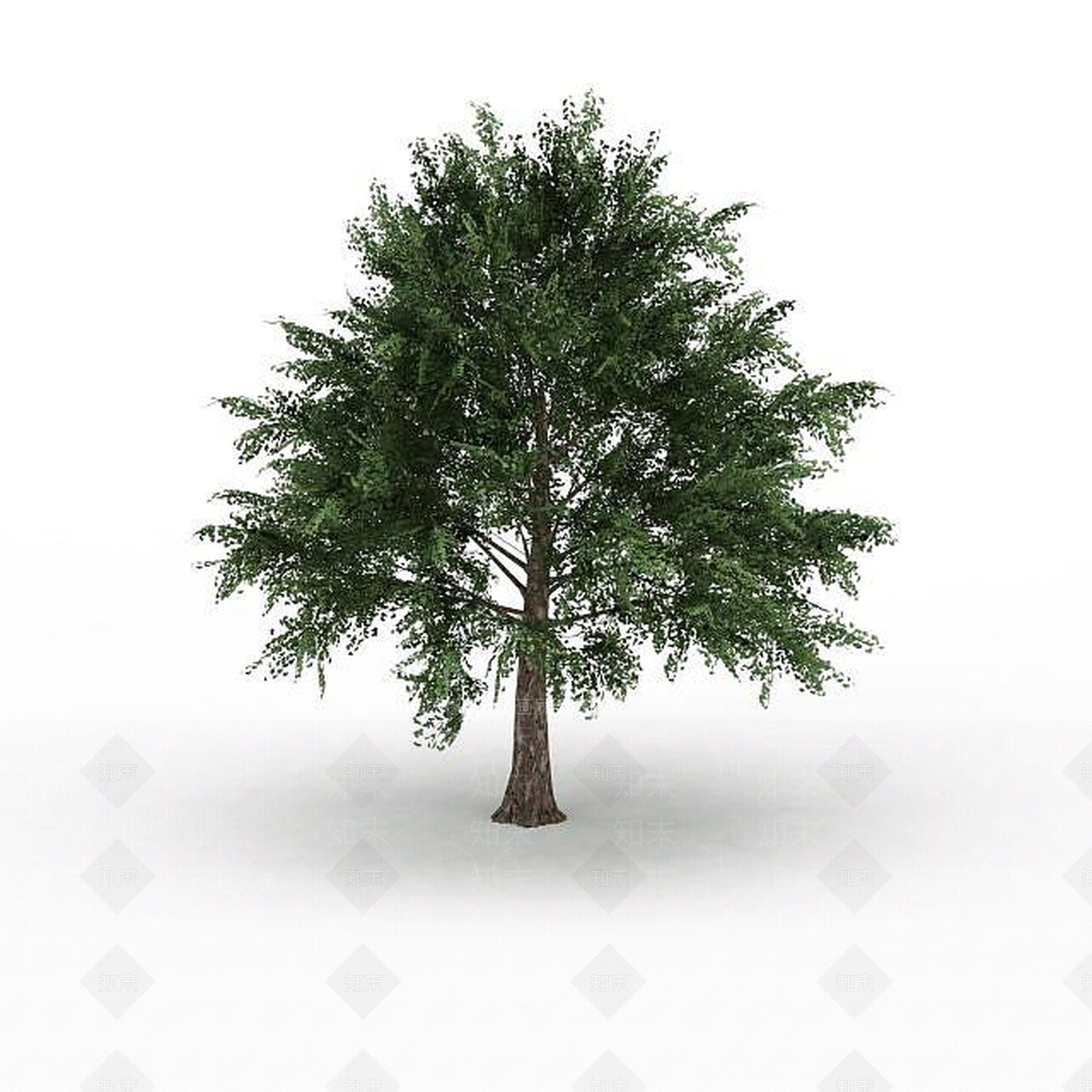 现代景观树3D模型下载【ID:1195590372】
