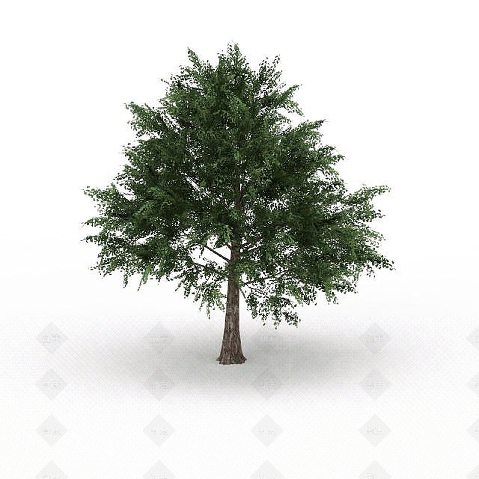 现代景观树3D模型下载【ID:1195590372】