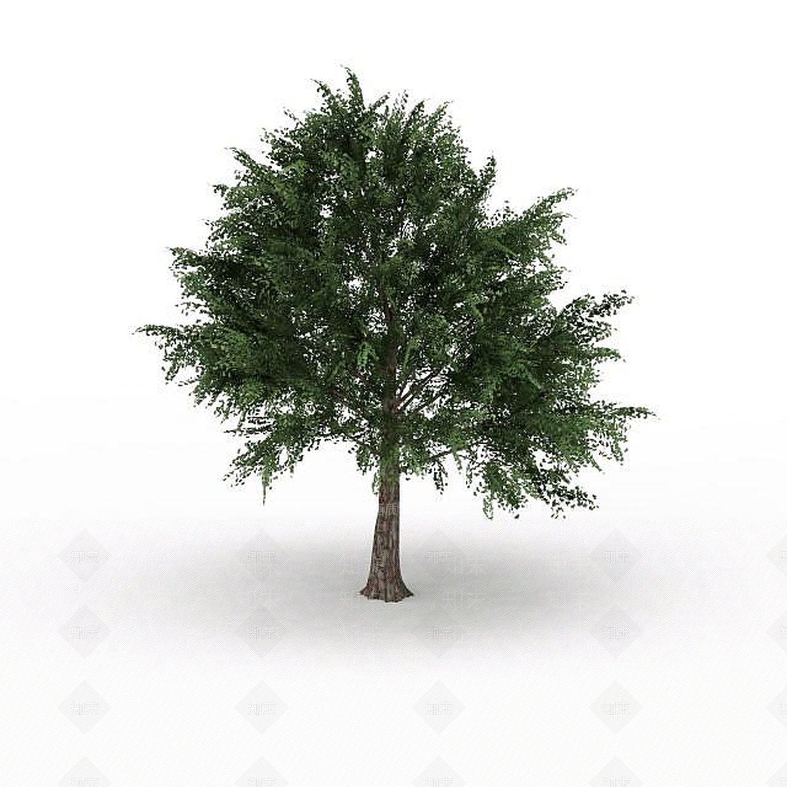 现代景观树3D模型下载【ID:1195590372】