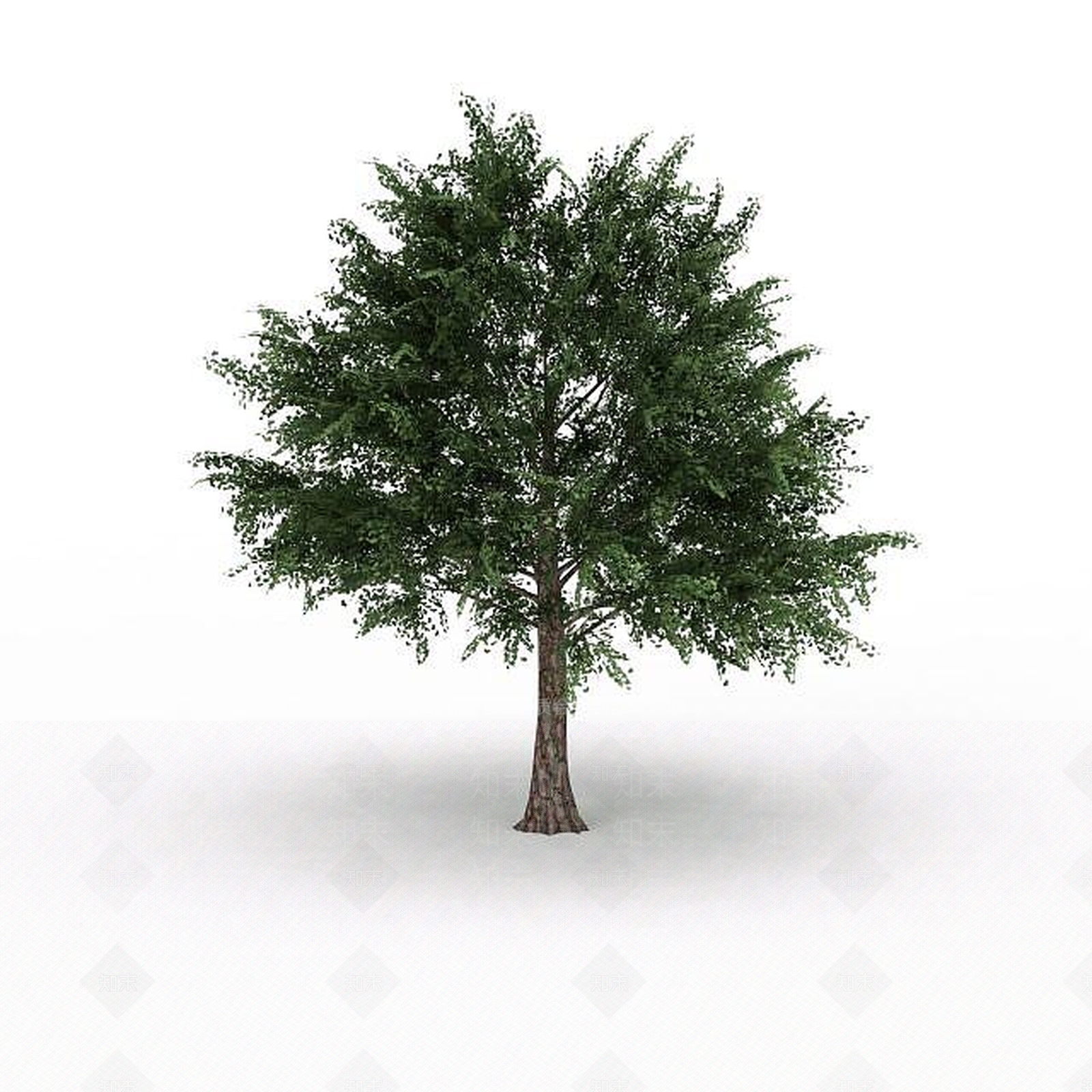现代景观树3D模型下载【ID:1195590372】