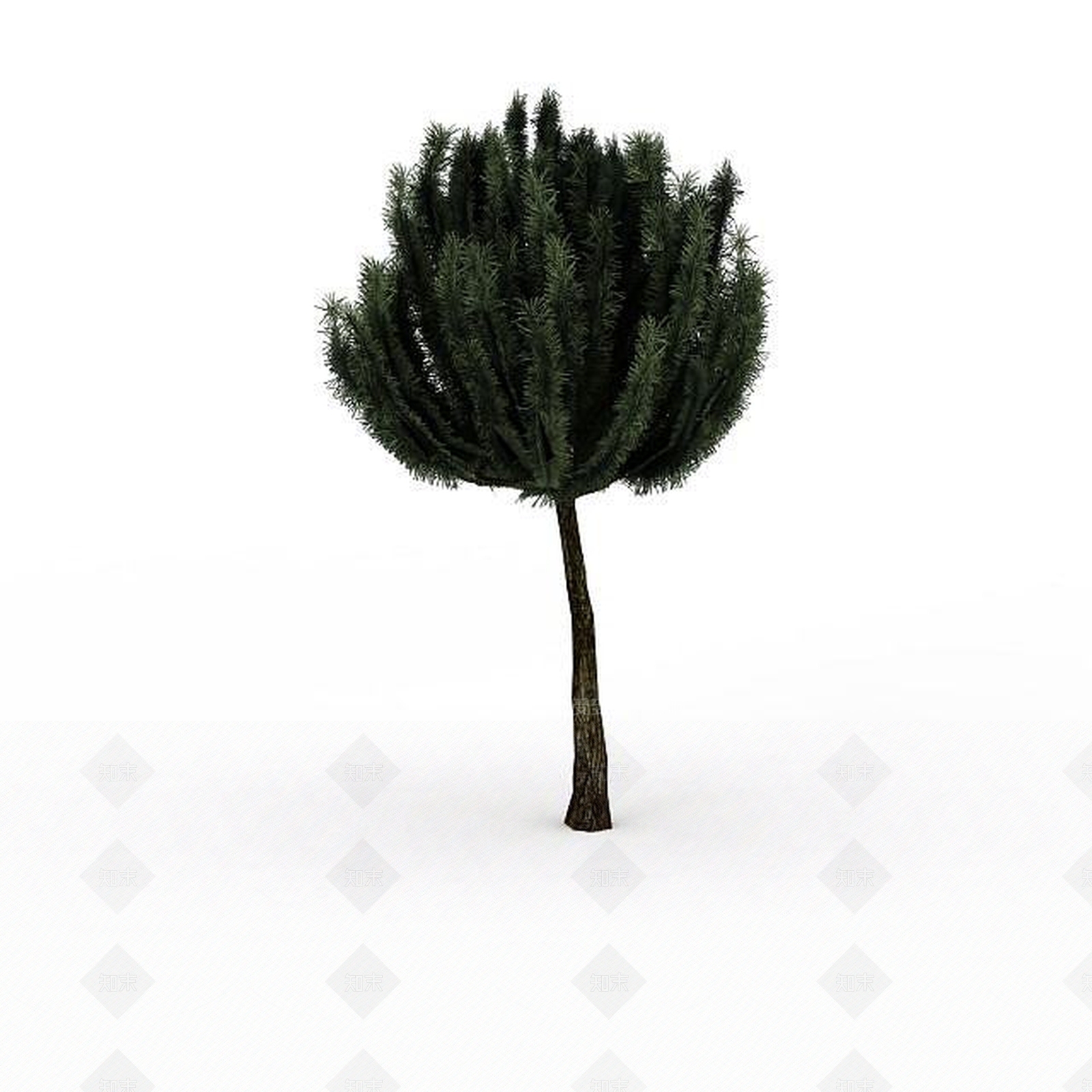 现代景观树3D模型下载【ID:1195590334】