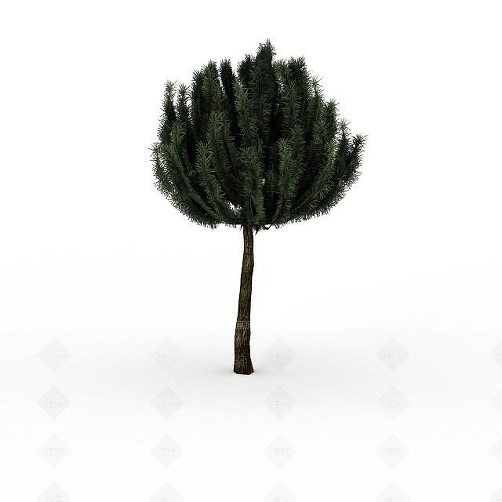 现代景观树3D模型下载【ID:1195590334】