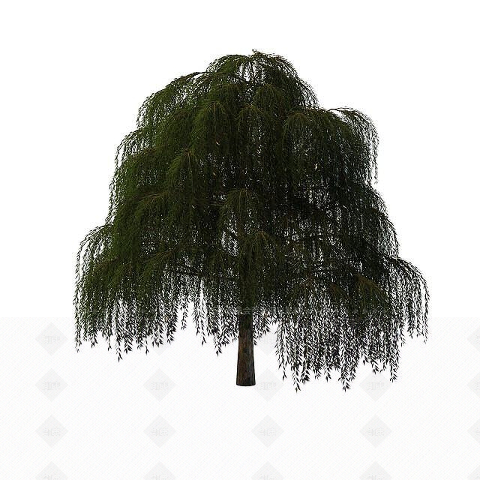 现代柳树3D模型下载【ID:1195593861】
