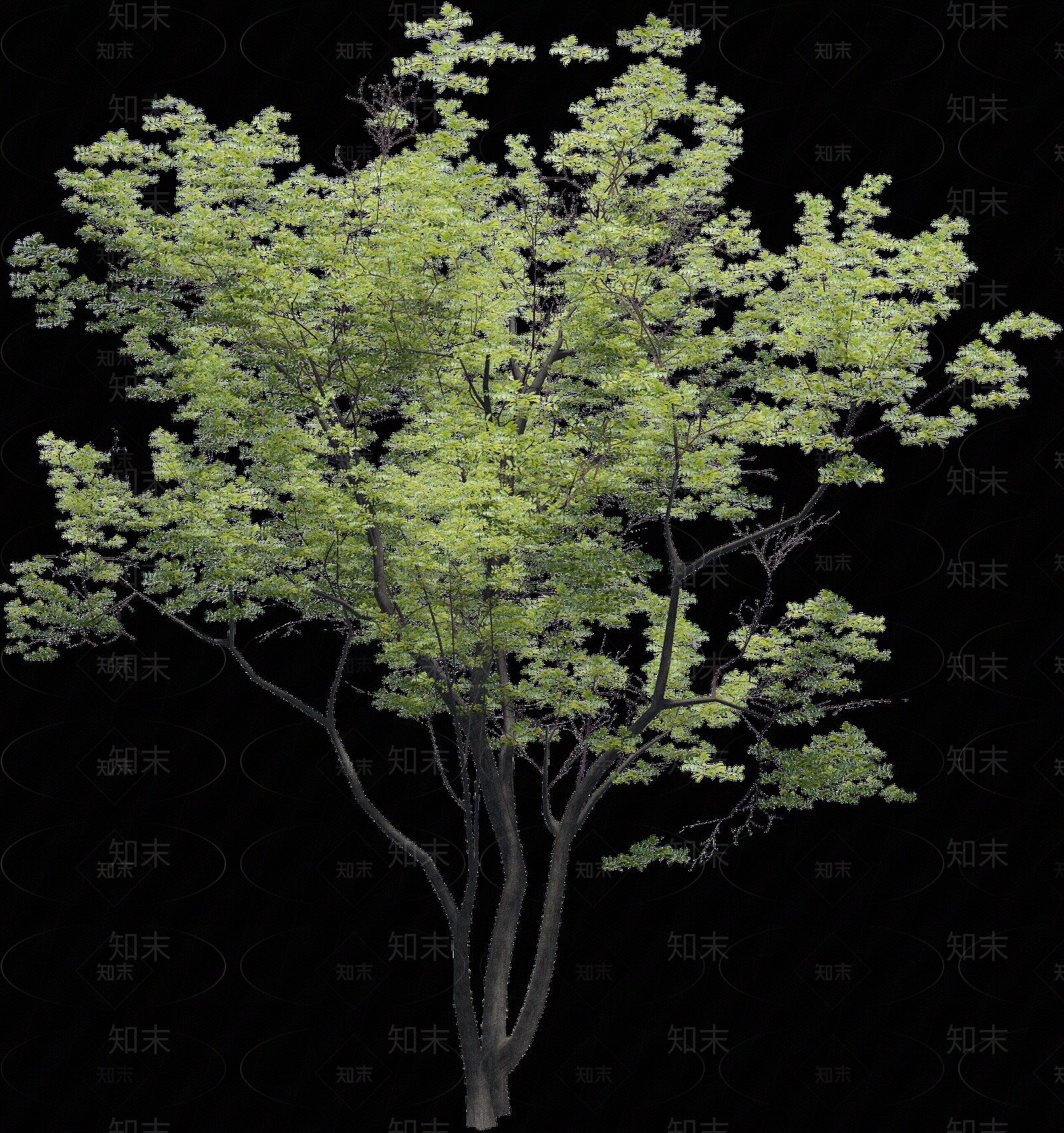 现代其它HDR贴图下载【ID:1195599604】