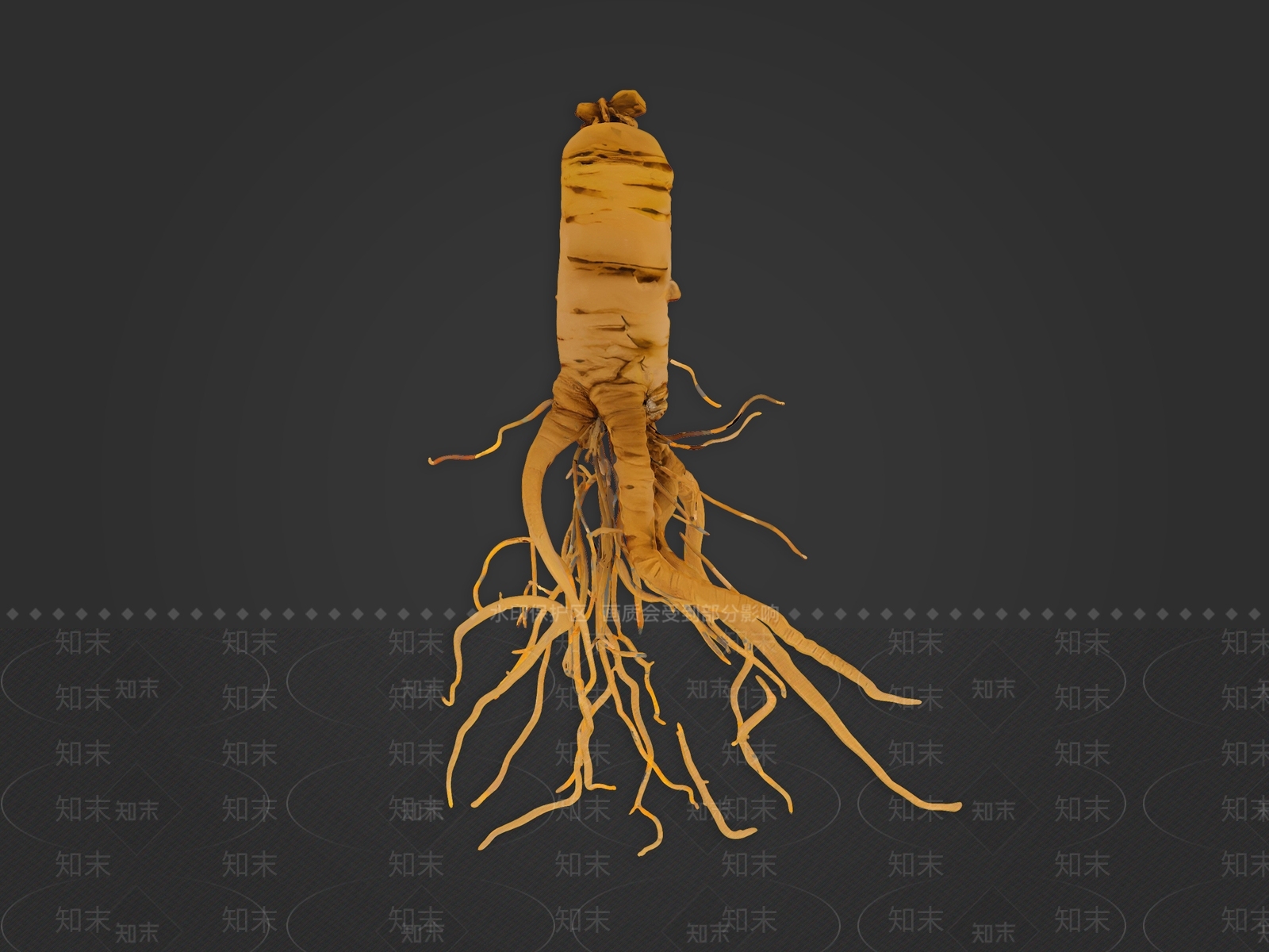 食物饮料SU模型下载【ID:1195617192】