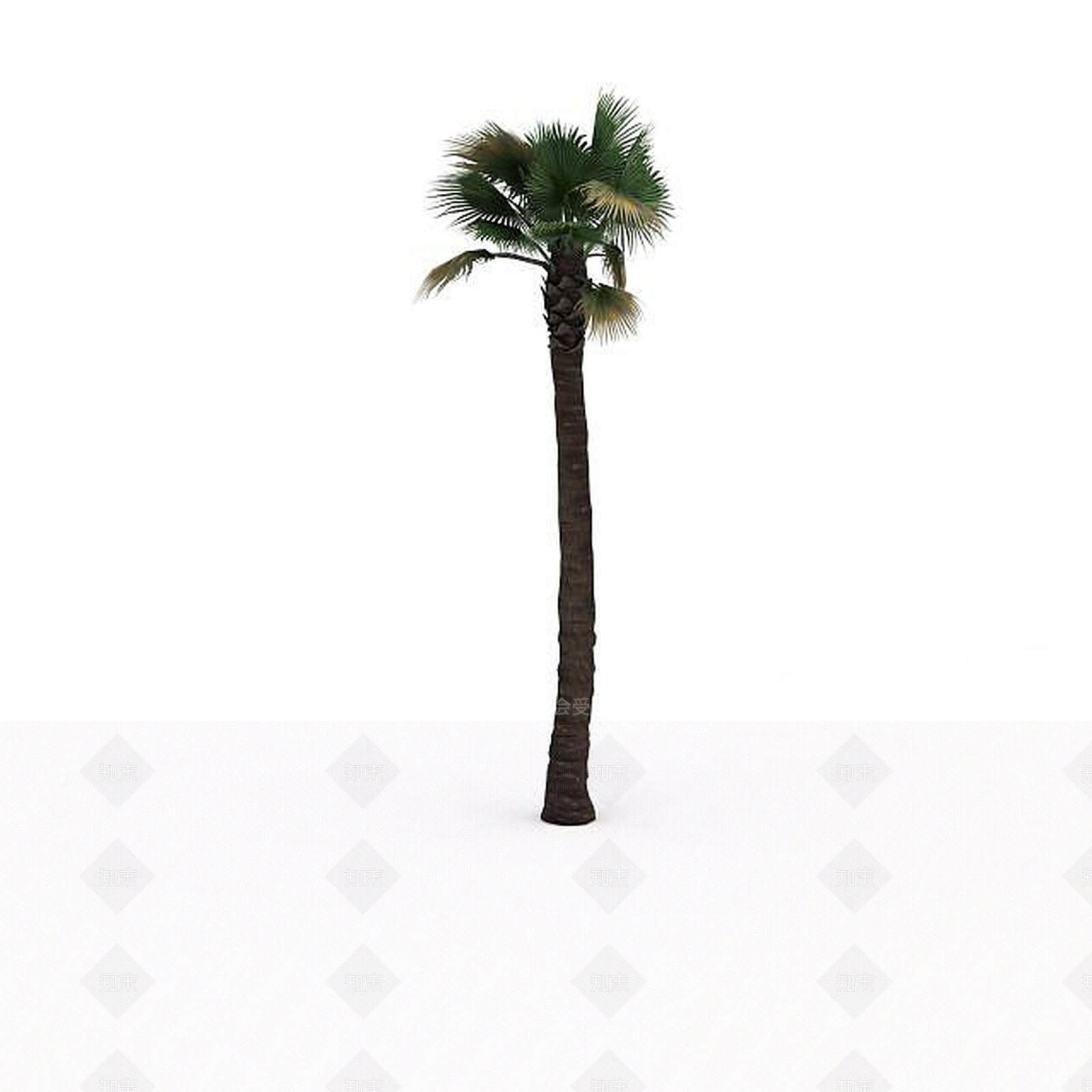 现代椰子树3D模型下载【ID:1195623862】