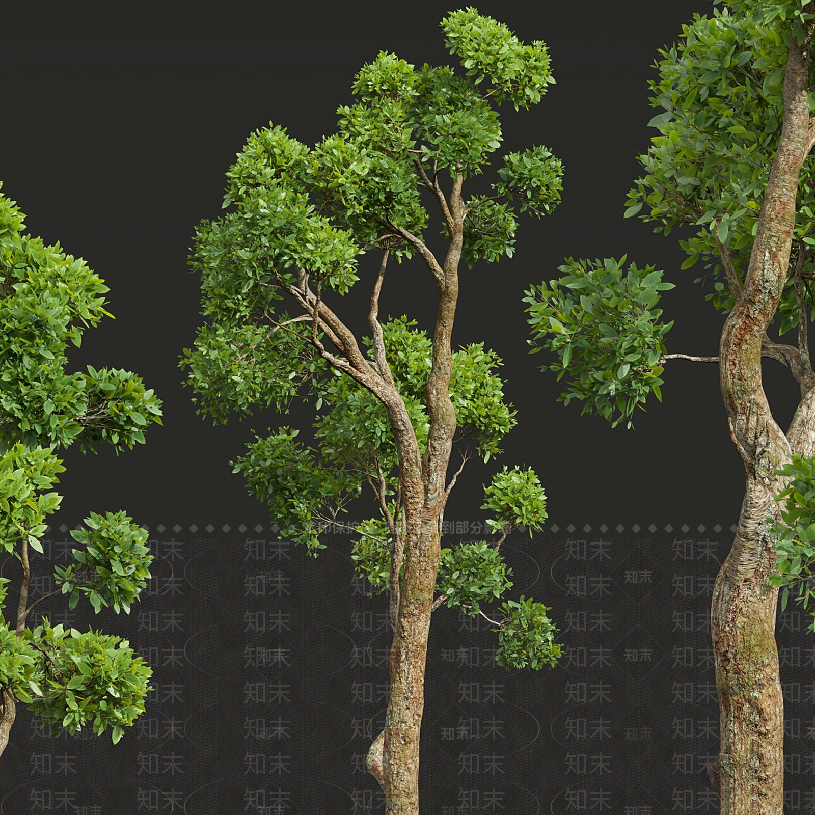 乔木3D模型下载【ID:1195641768】