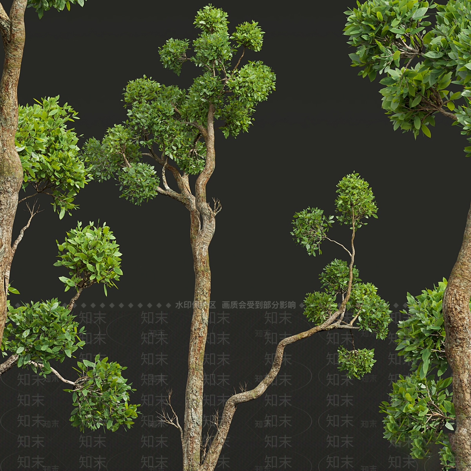 乔木3D模型下载【ID:1195641768】