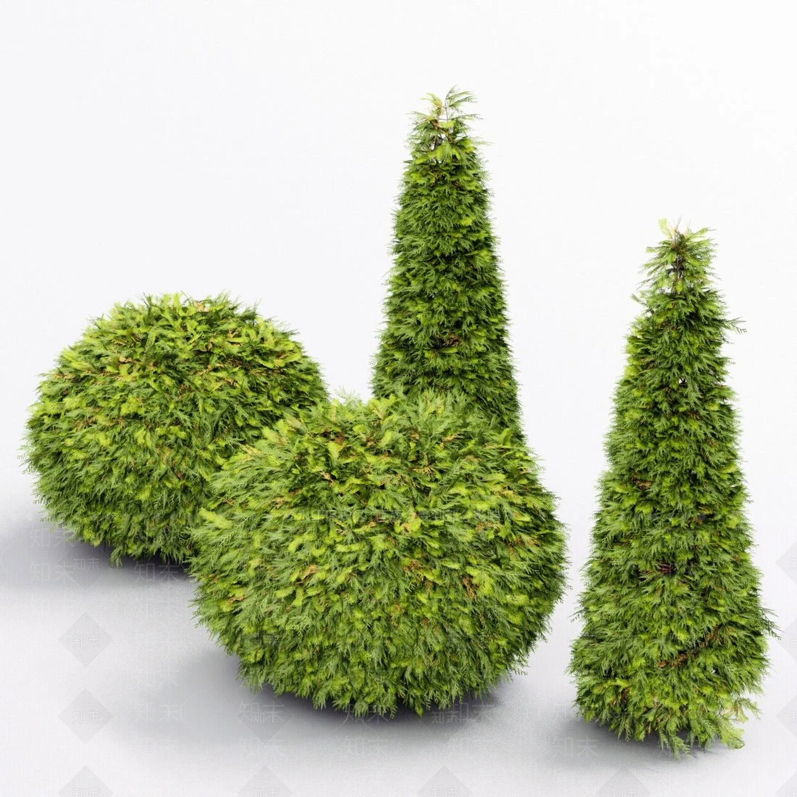 灌木3D模型下载【ID:1195657146】