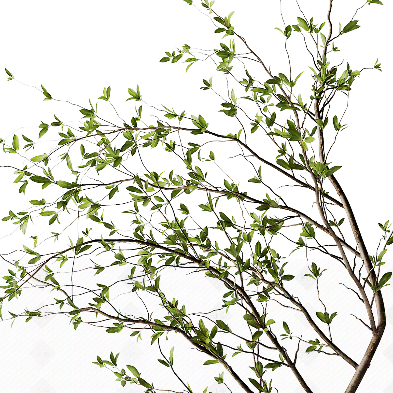 新中式侘寂花艺3D模型下载【ID:1195664202】