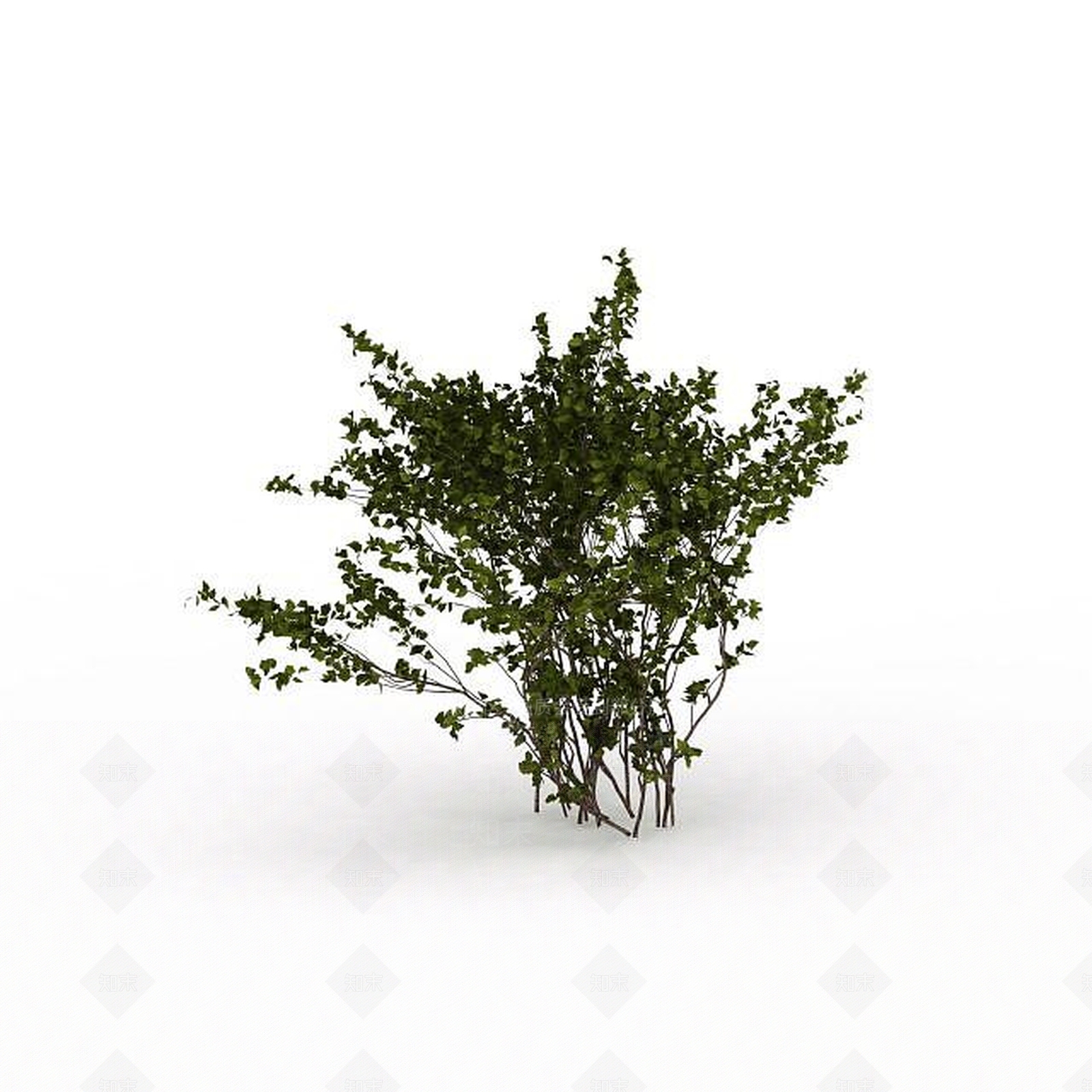 现代灌木3D模型下载【ID:1195670259】