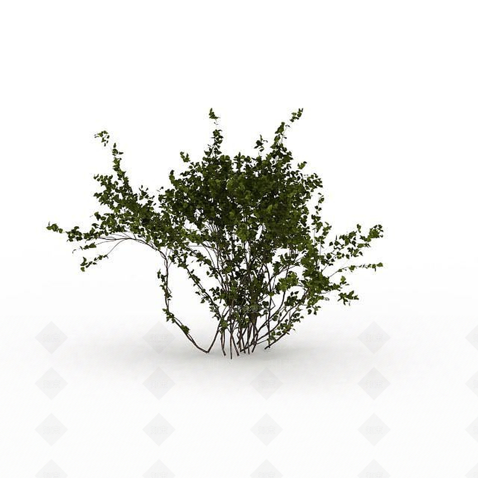 现代灌木3D模型下载【ID:1195670259】