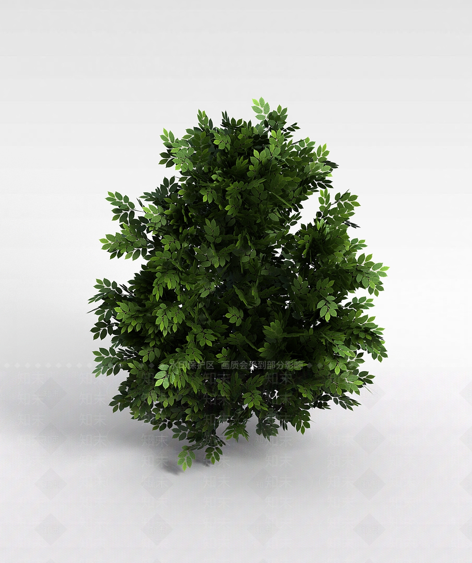 现代灌木3D模型下载【ID:1199940734】