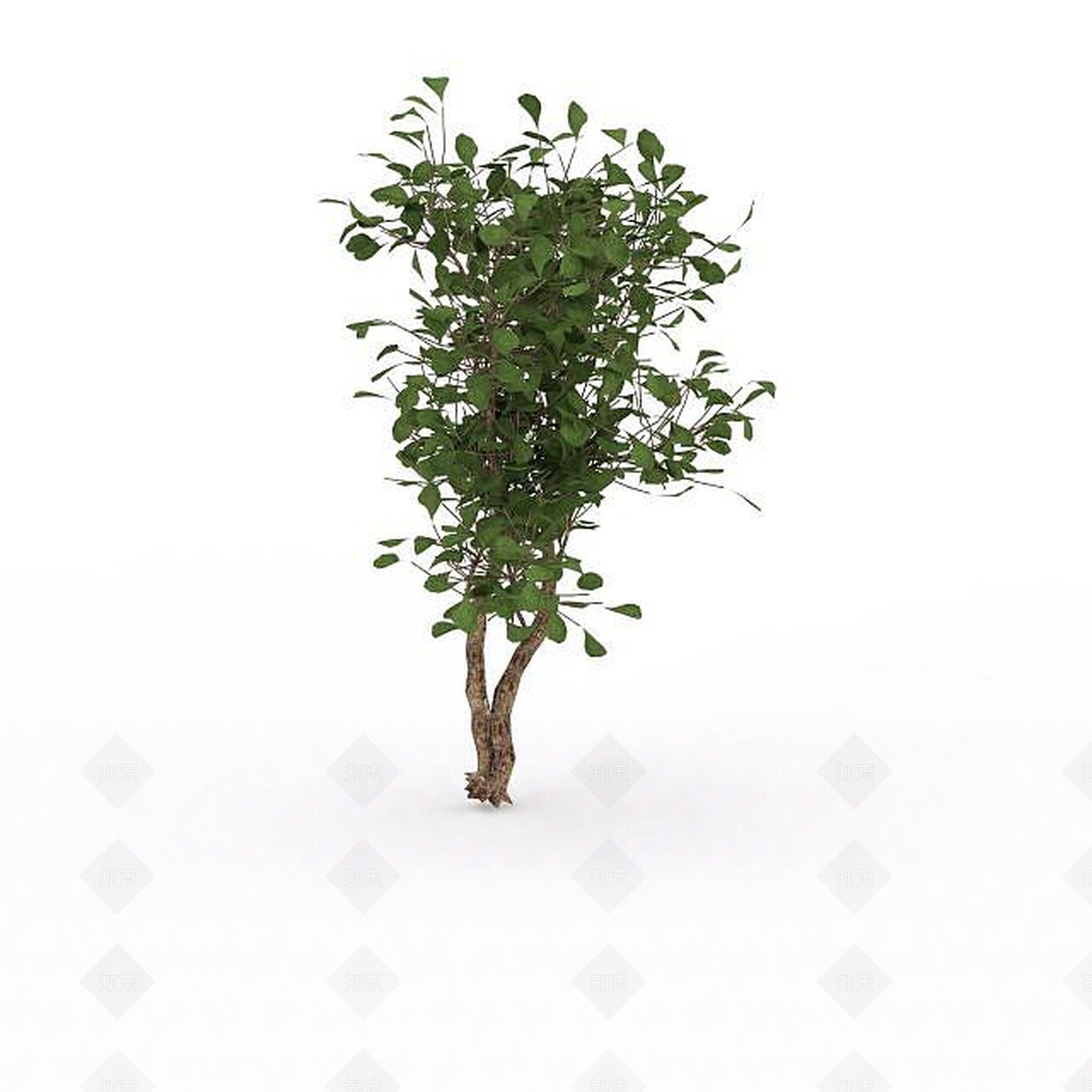 现代灌木3D模型下载【ID:1195670512】